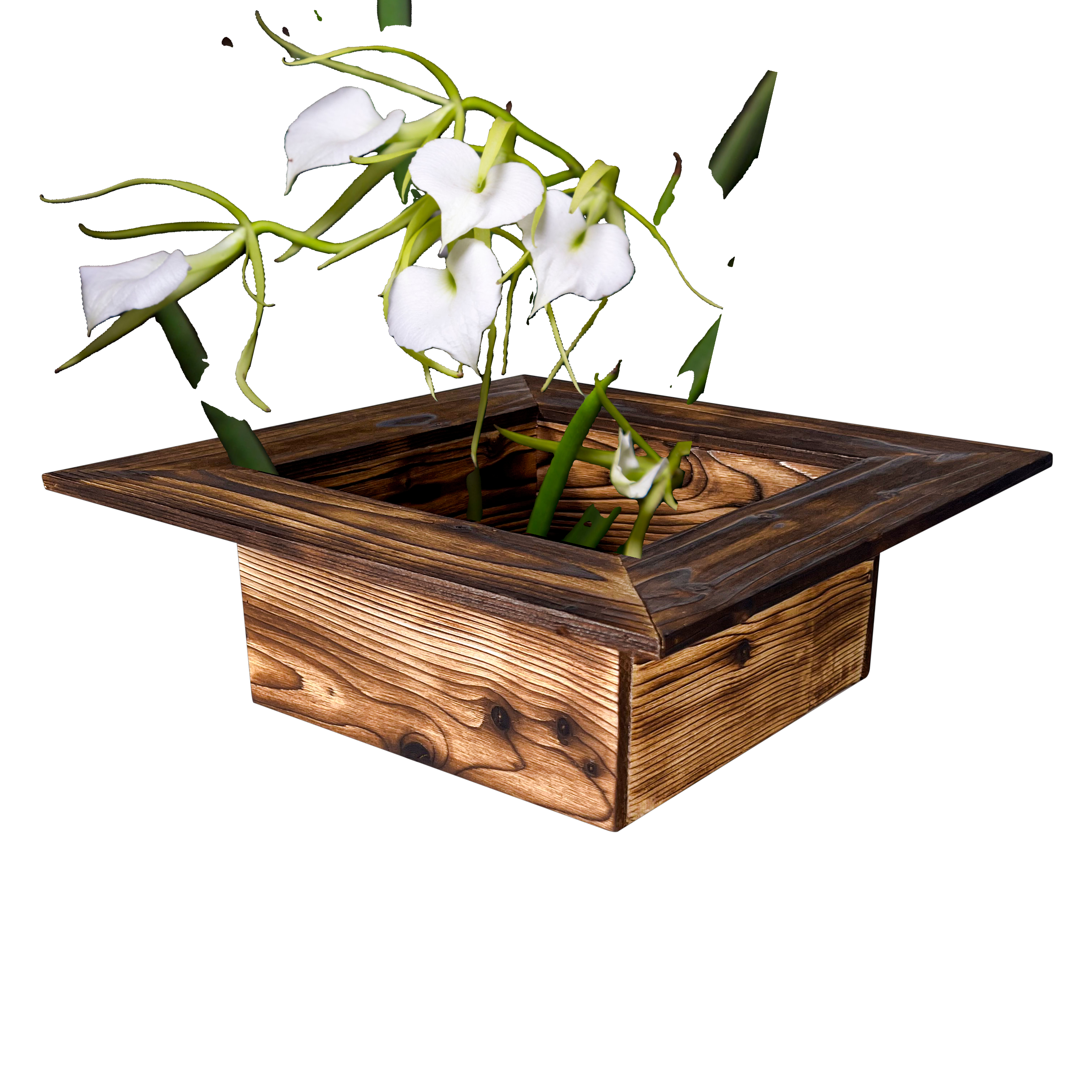 Yakisugi Burned Wooden Pot / Container