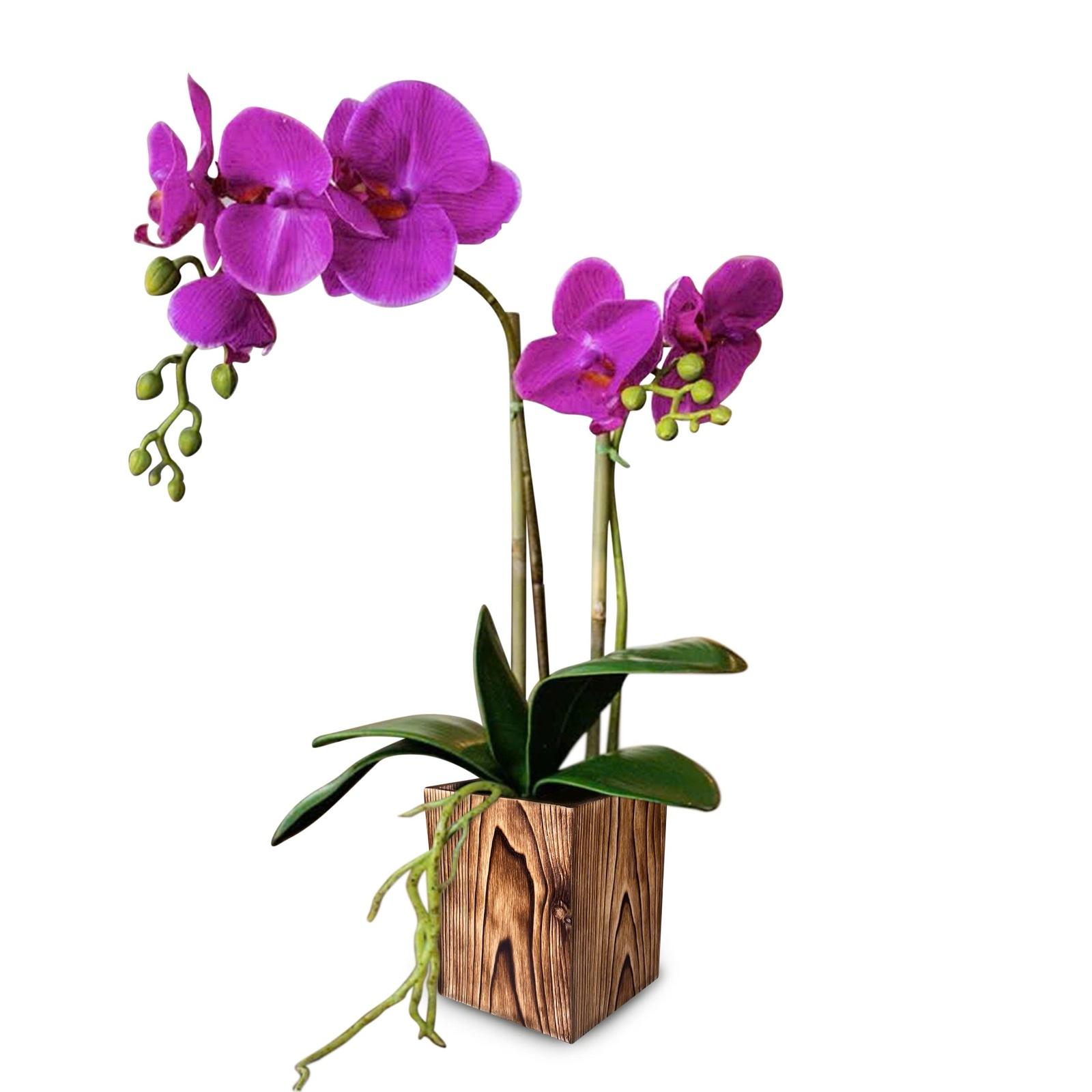 Yakisugi Burned Wooden Pot / Container