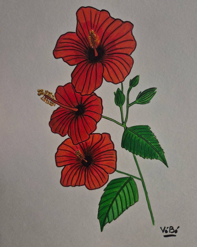 RED IBISCUS - feutres sur papier 