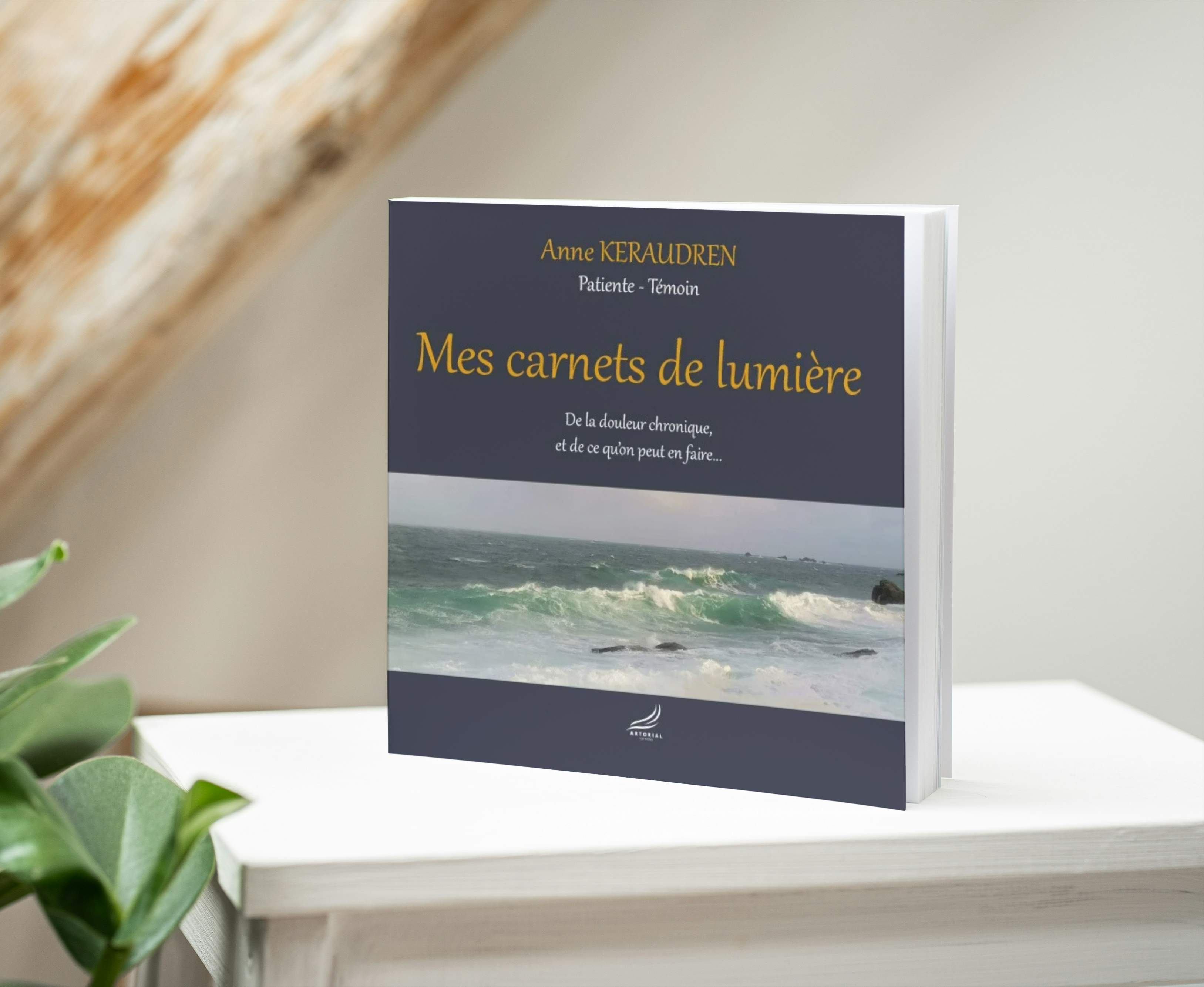 Mes carnets de lumière