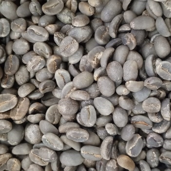 Arabica Luwak, Telemoyo