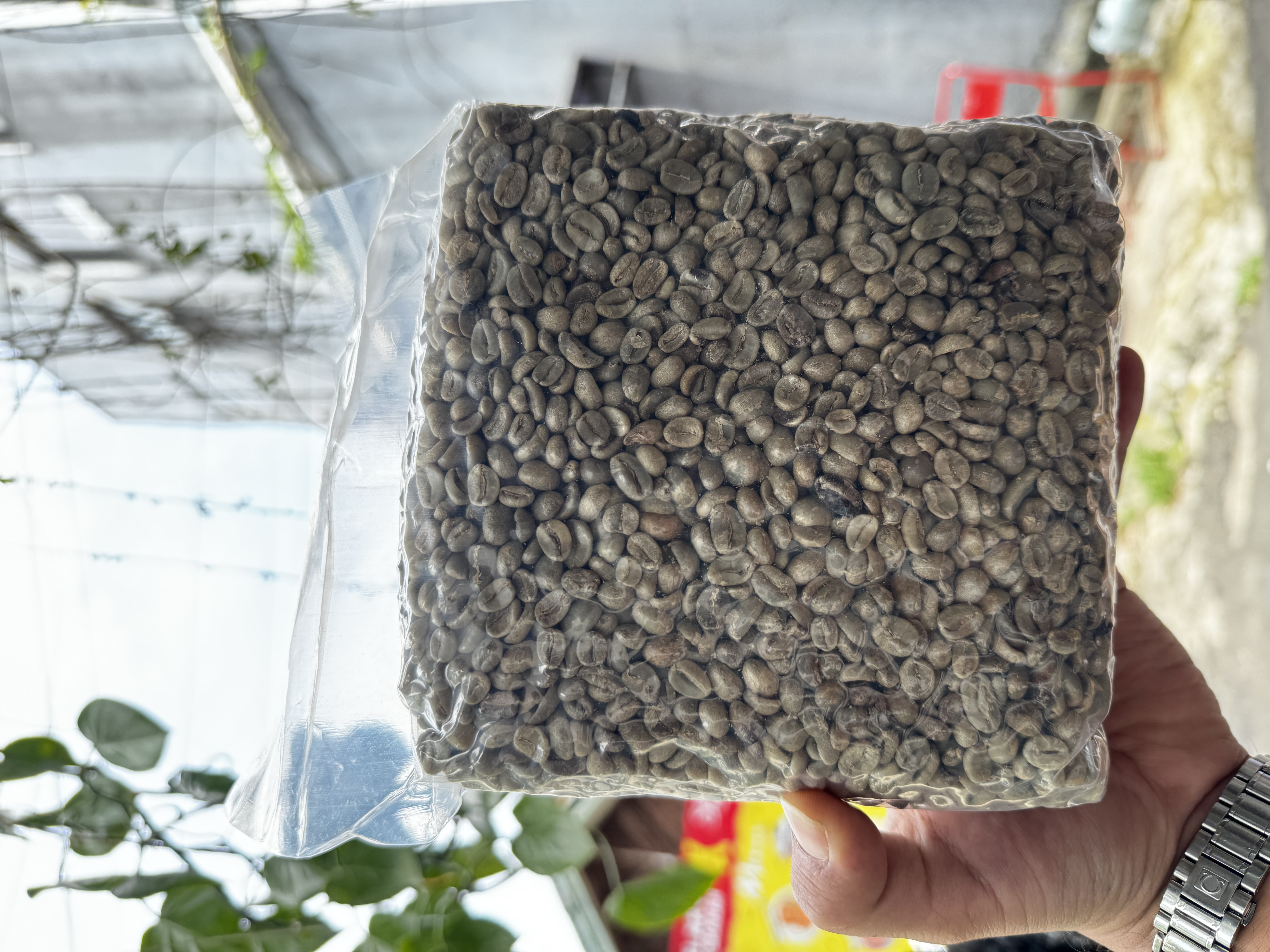 Arabica Specialty Full Wash, West Java