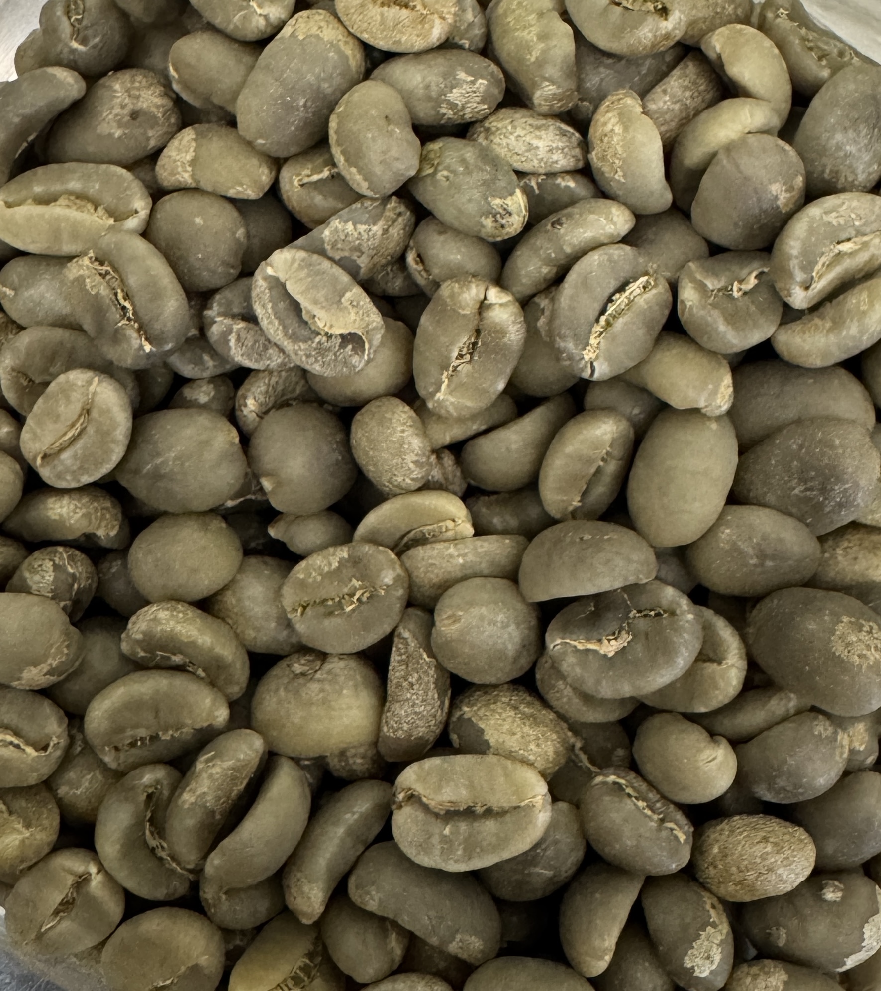 Arabica Full Wash, Aceh