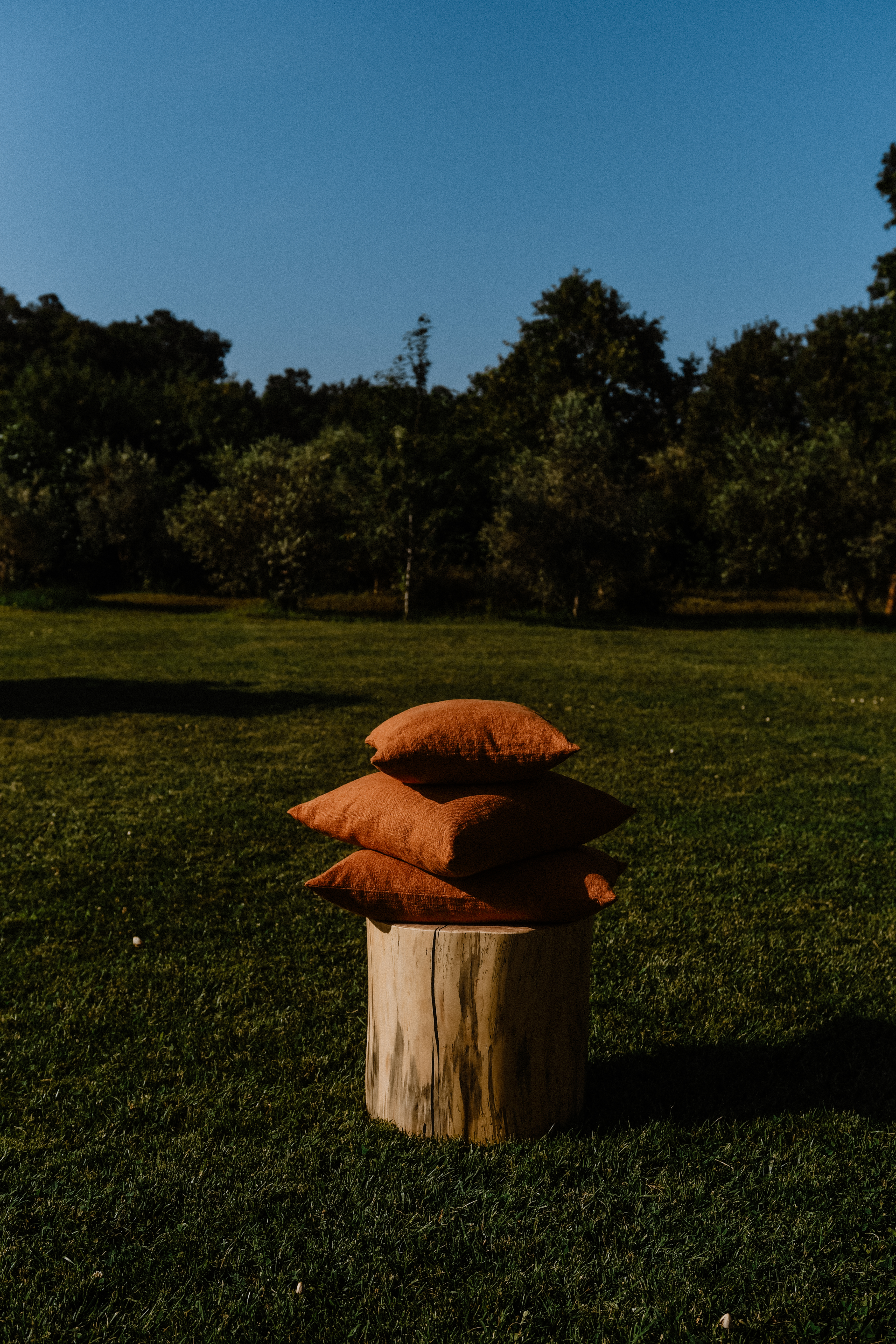 BURNT ORANGE