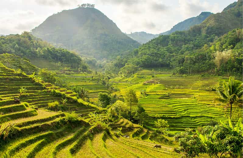 Selogriyo Temple Trekking Tour from Yogyakarta
