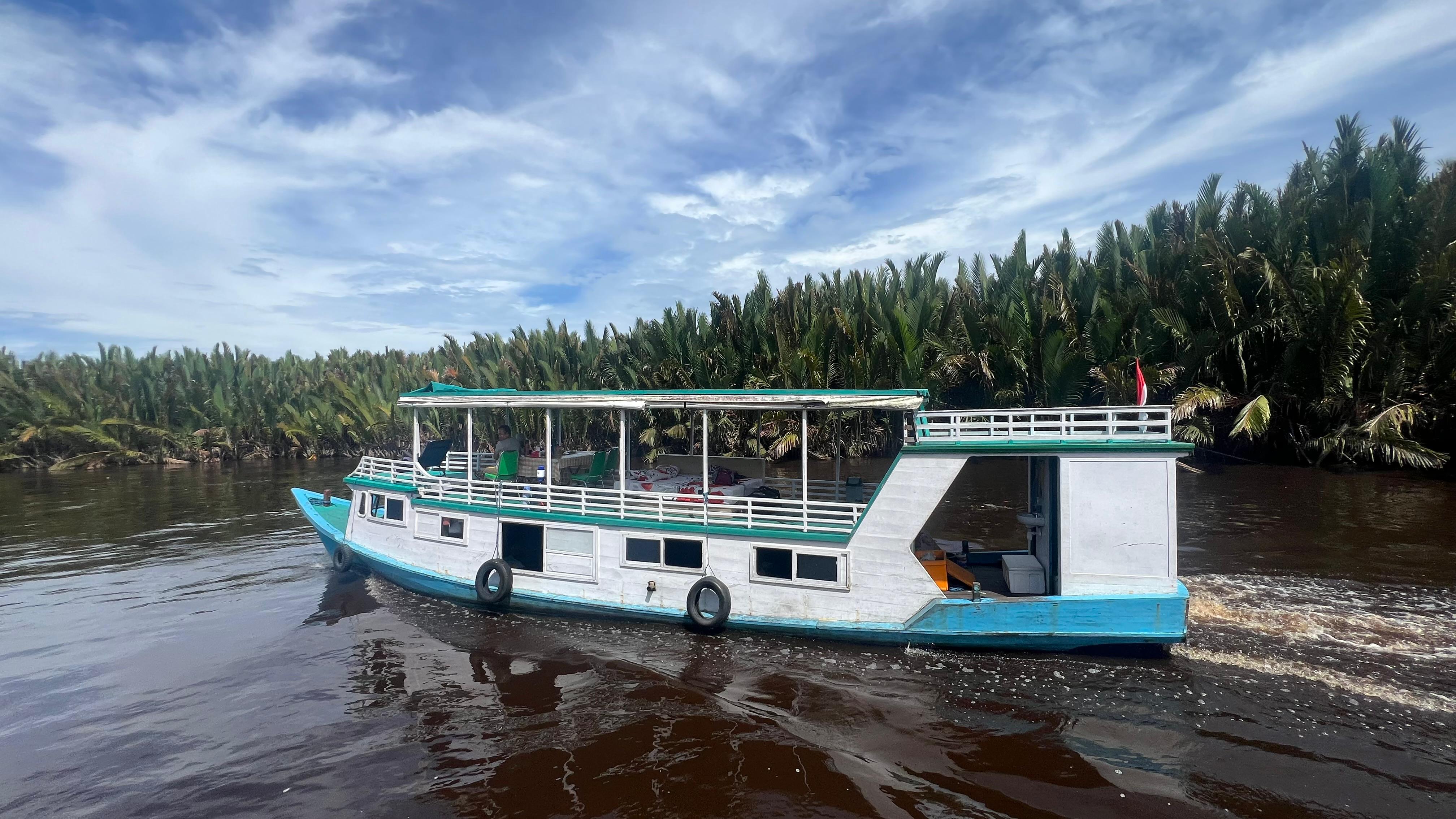 3 Days Borneo Tanjung Puting Orangutan River Cruise