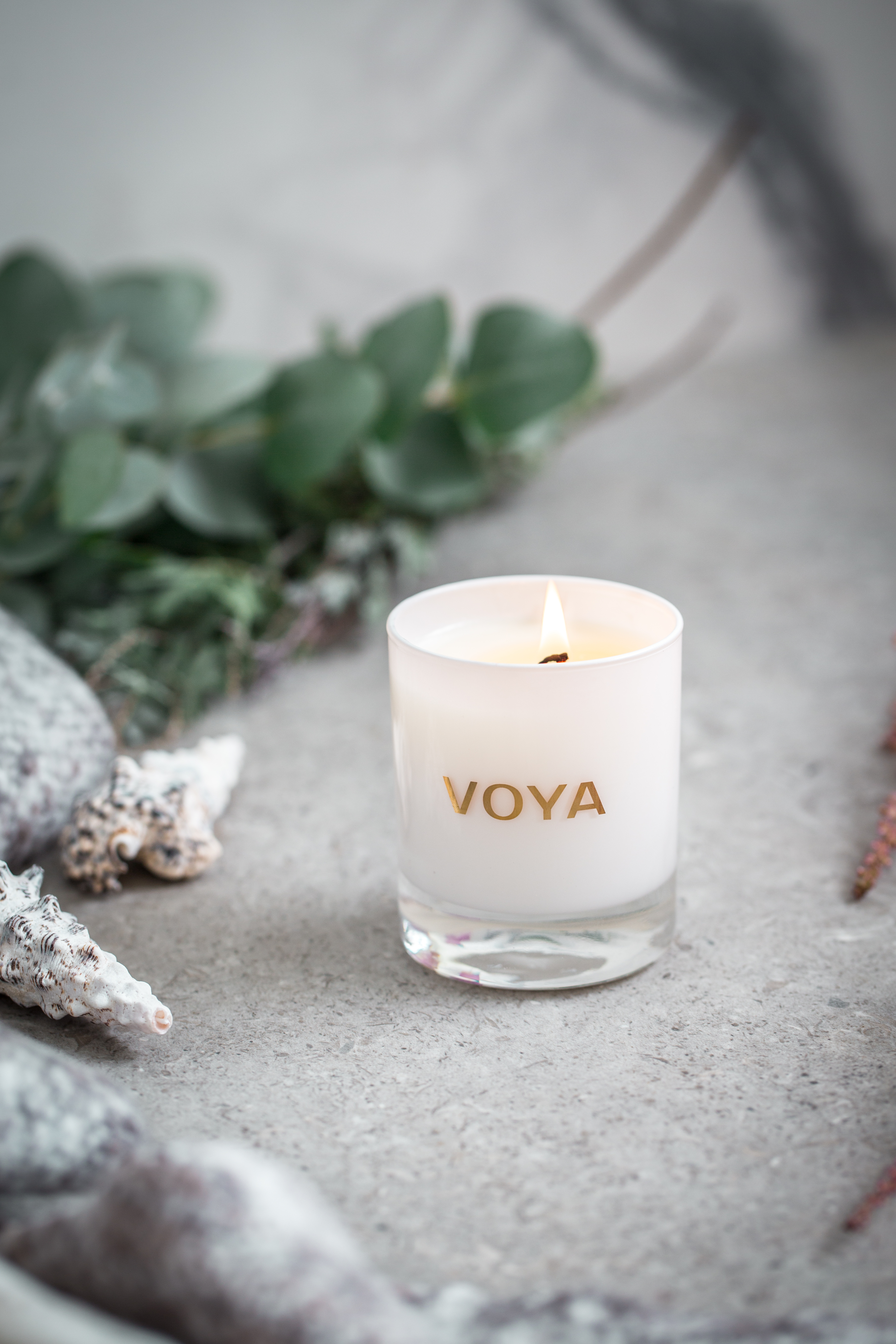 African Lime & Clove - kvapni žvakė