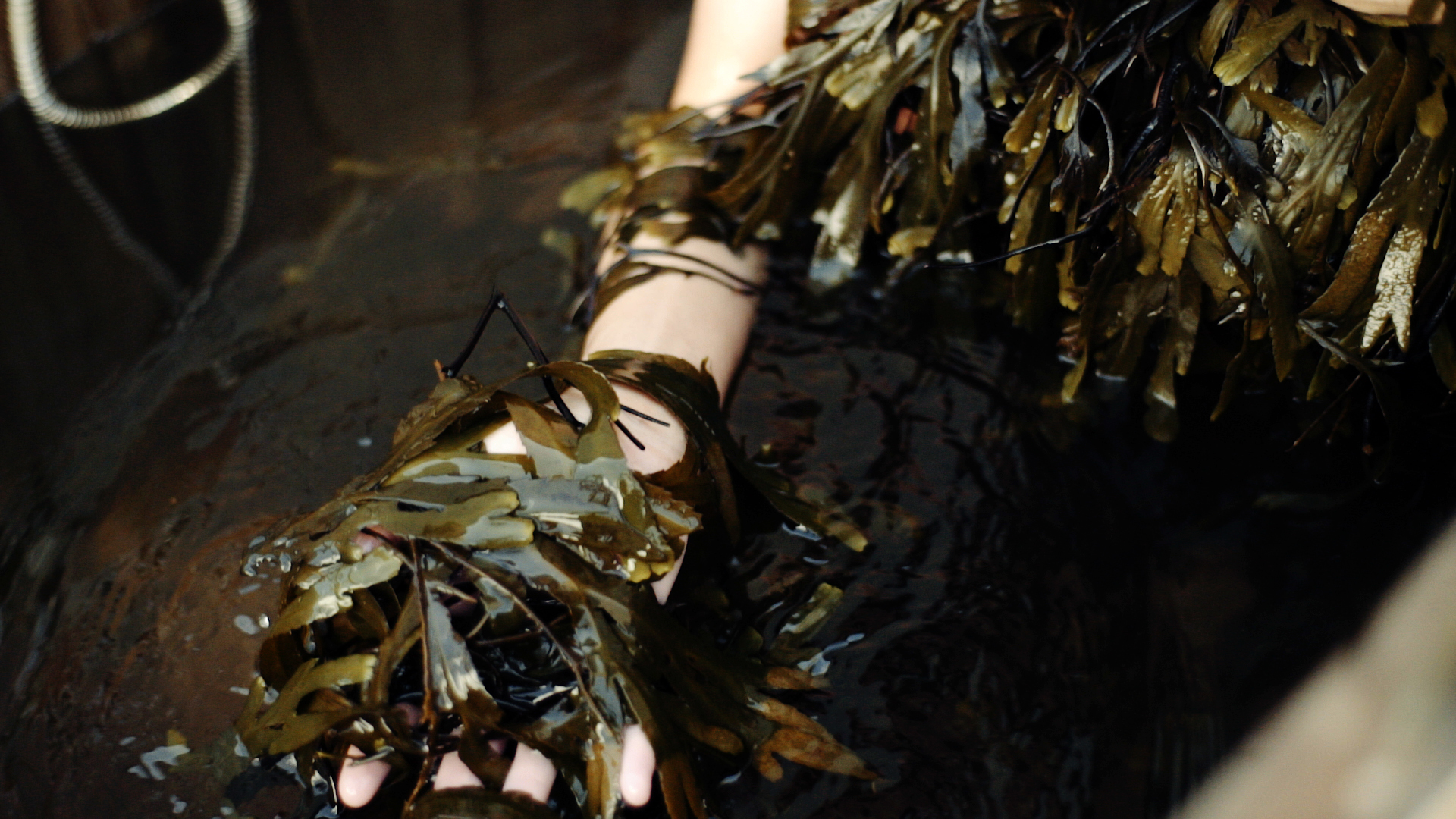 LAZY DAYS - dumblių vonia