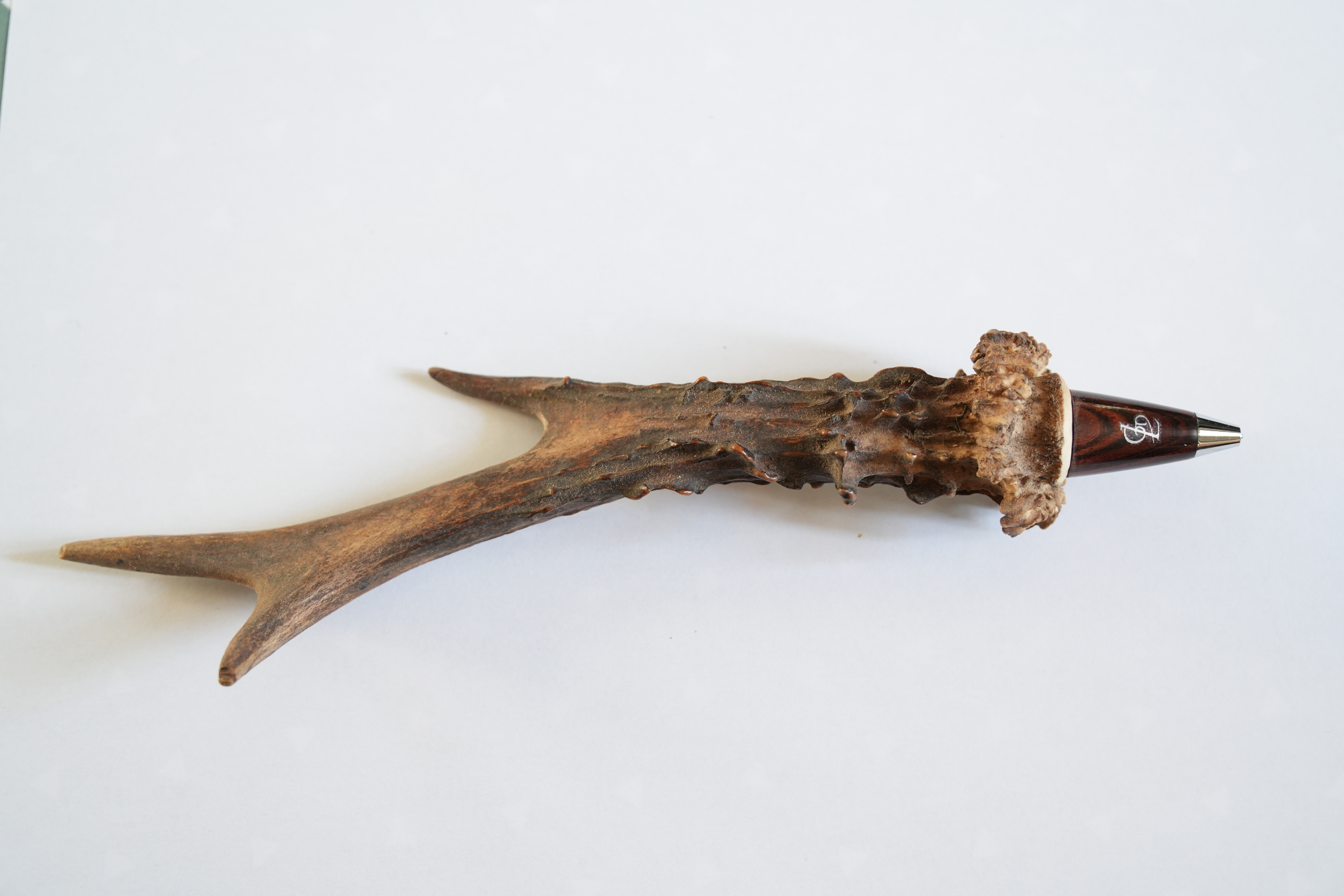 Bille bois chevreuil