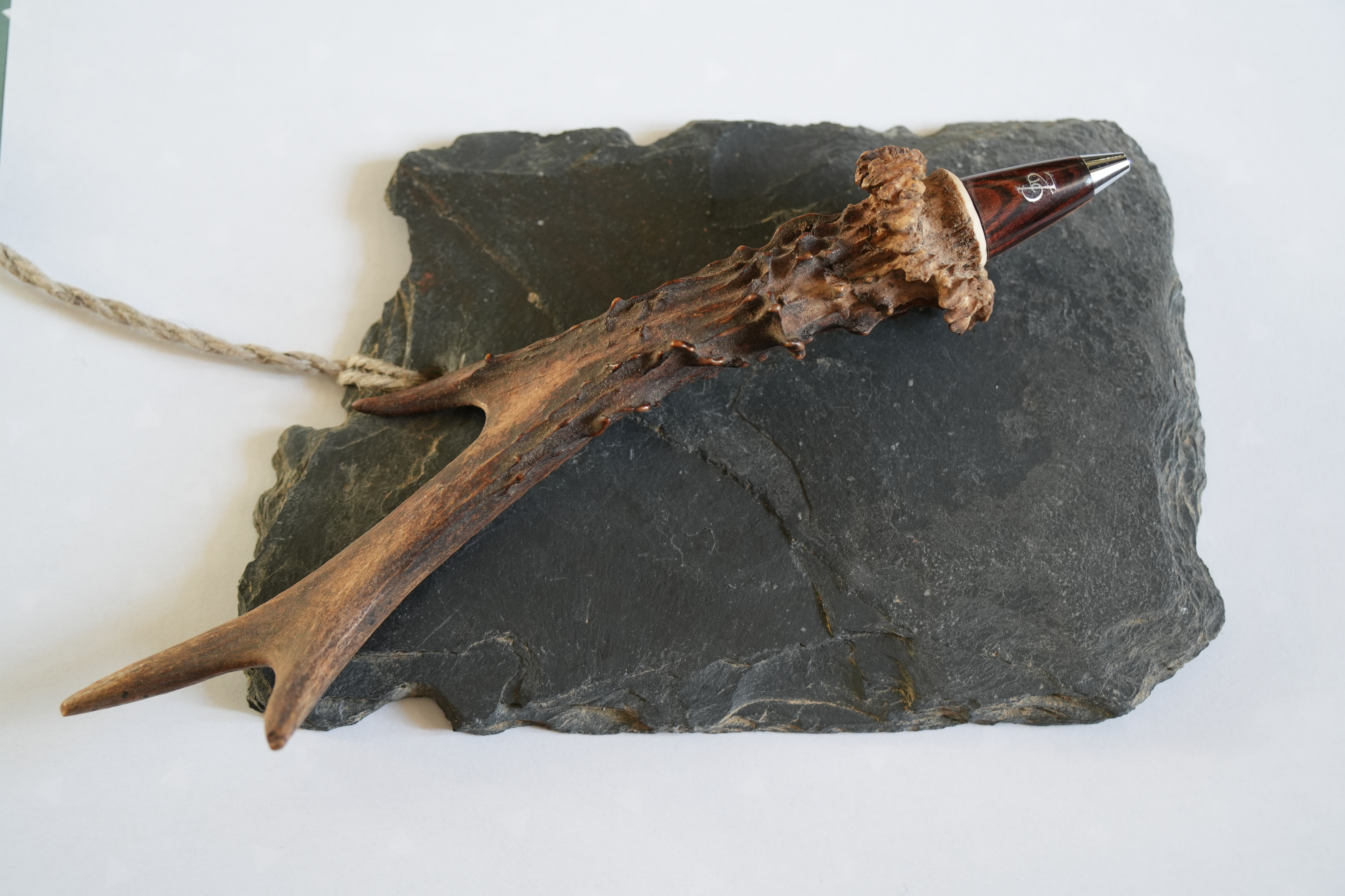 Bille bois chevreuil 