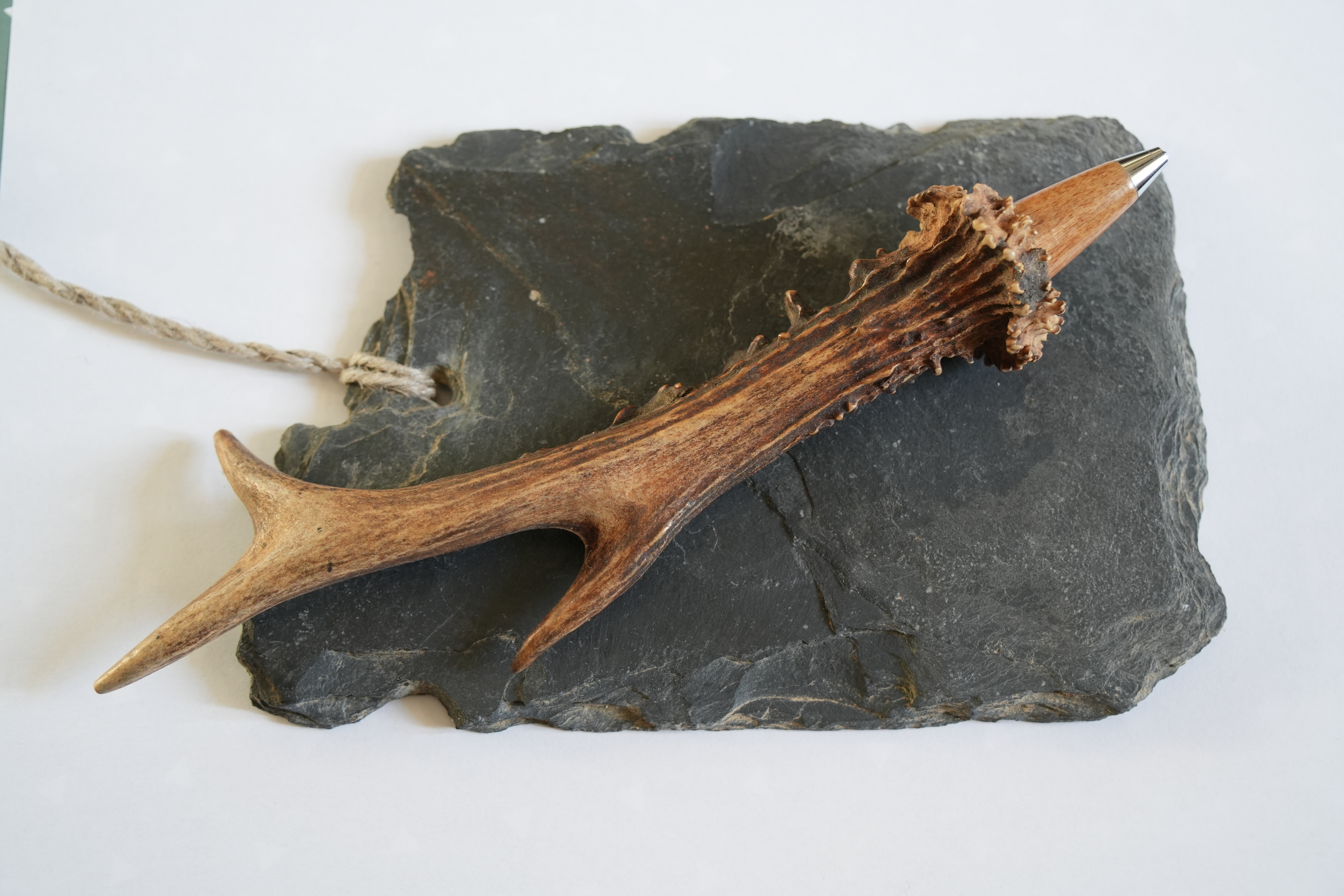 Bille bois chevreuil 