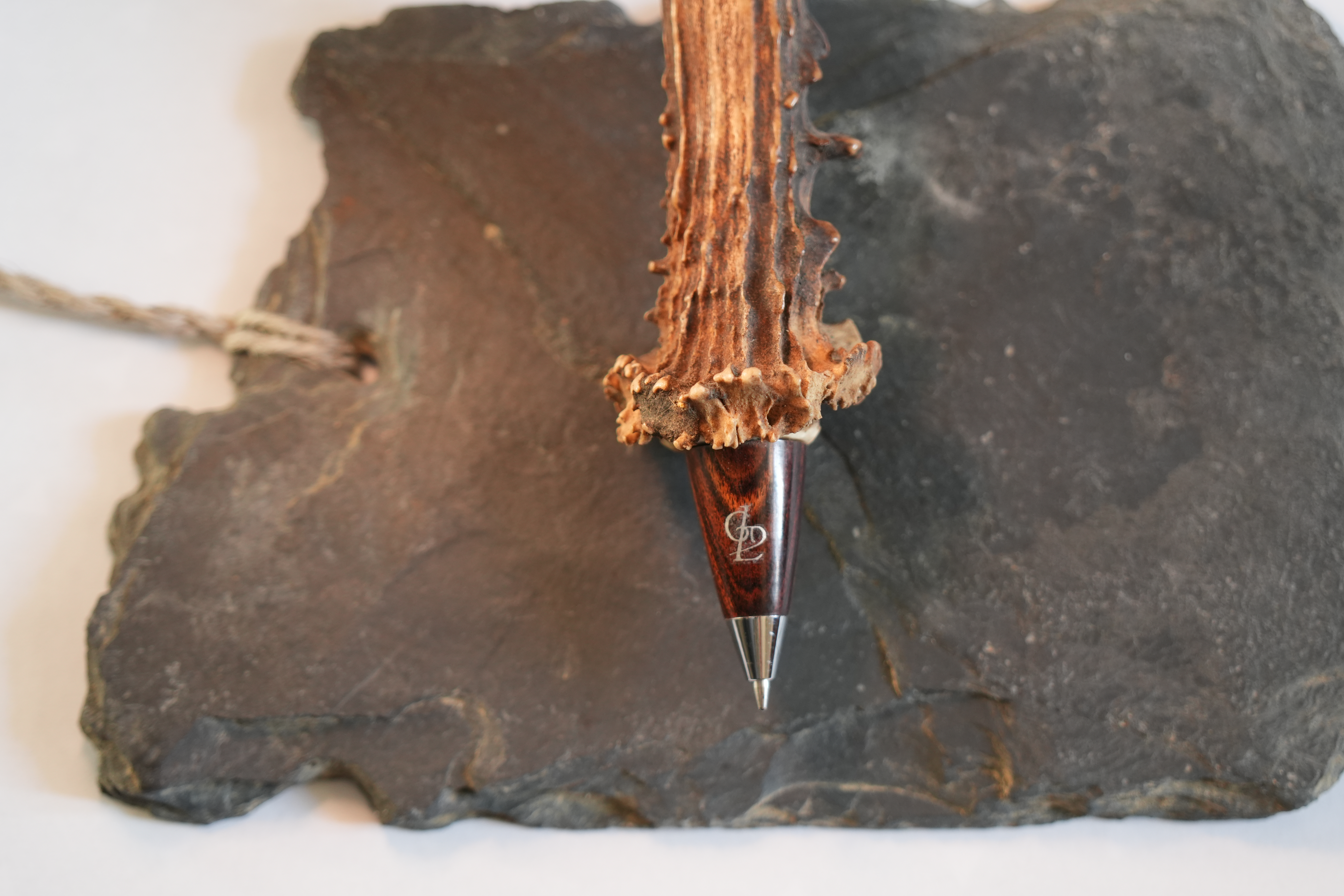 Bille bois chevreuil 