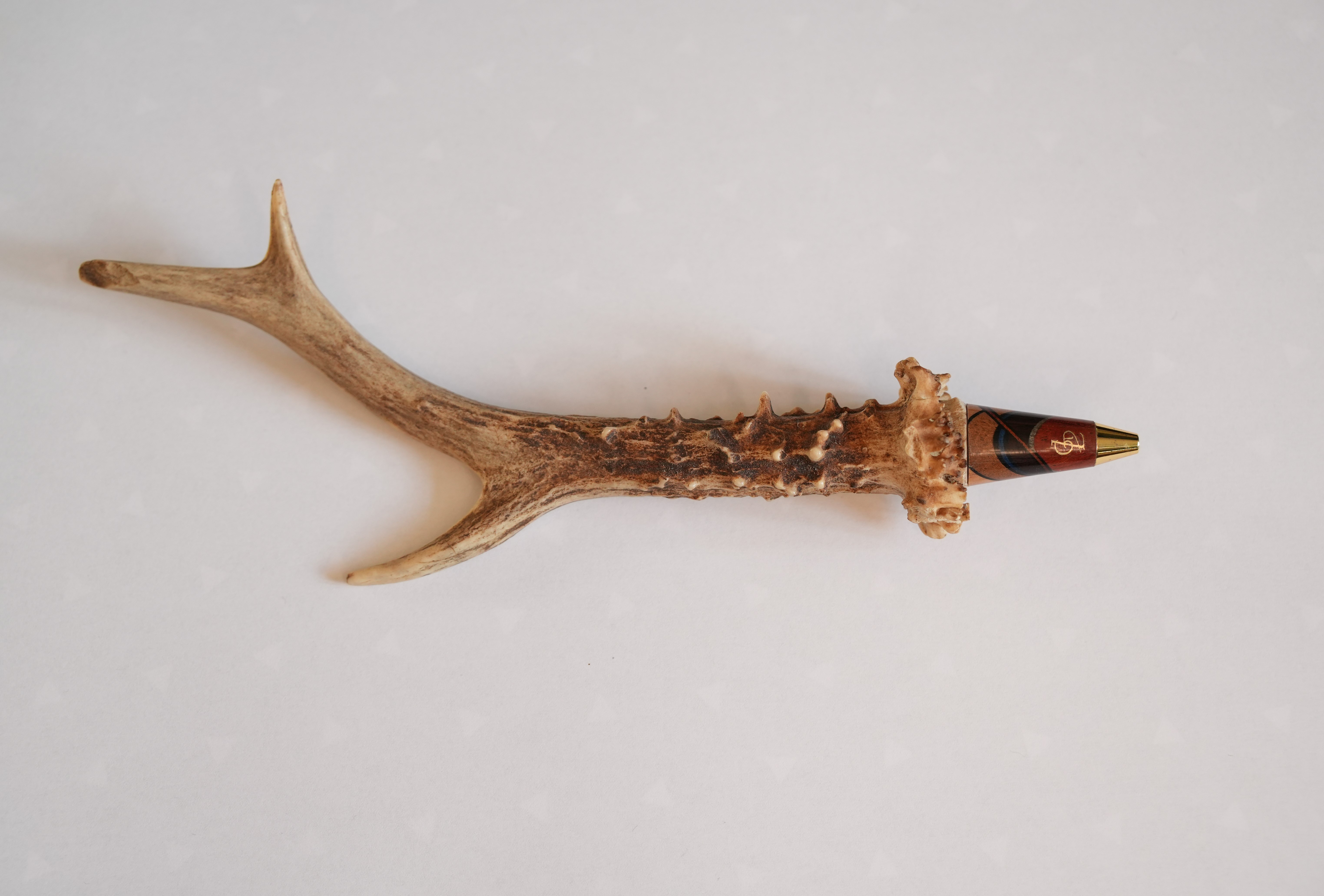 Bille bois chevreuil