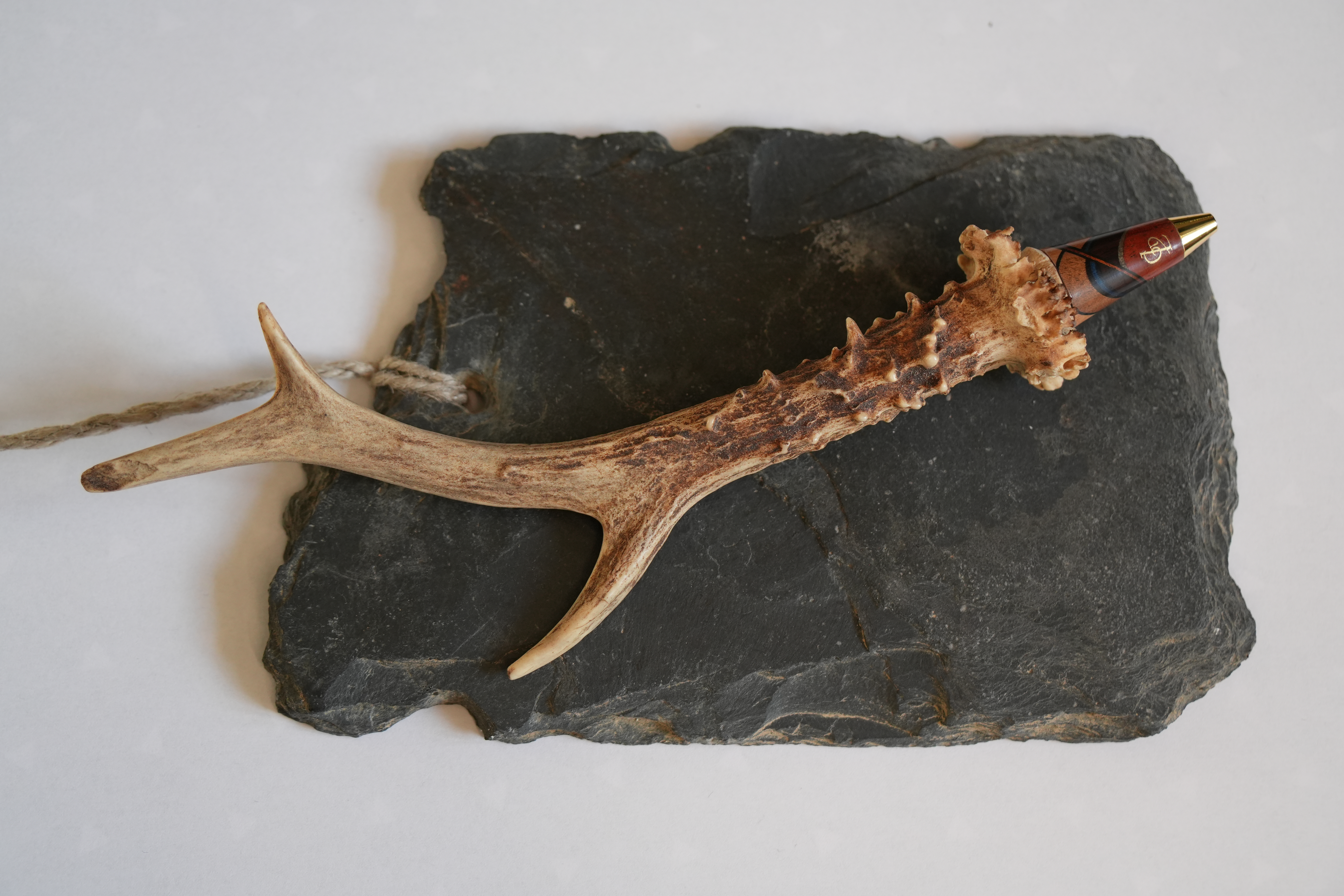 Bille bois chevreuil 