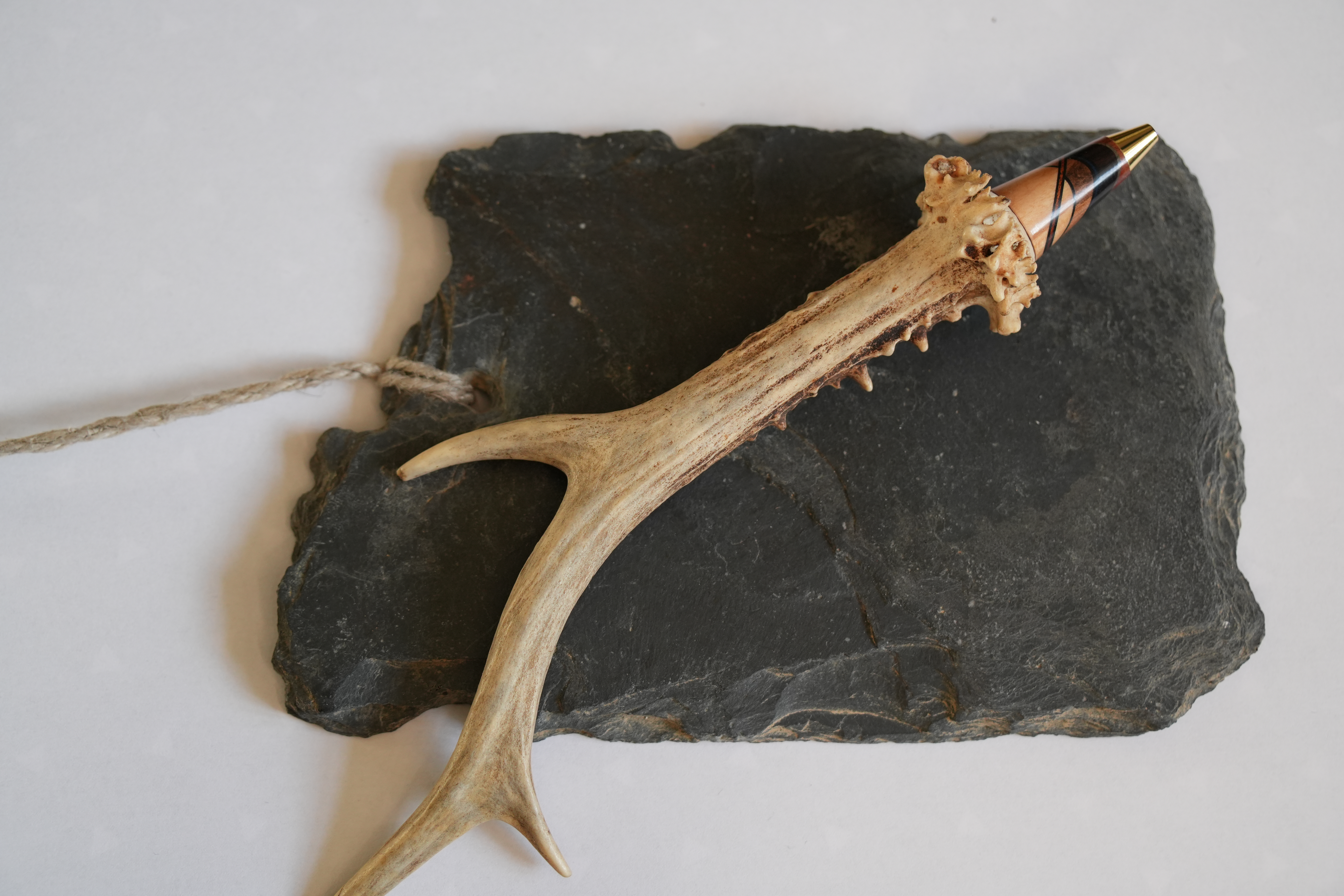 Bille bois chevreuil 