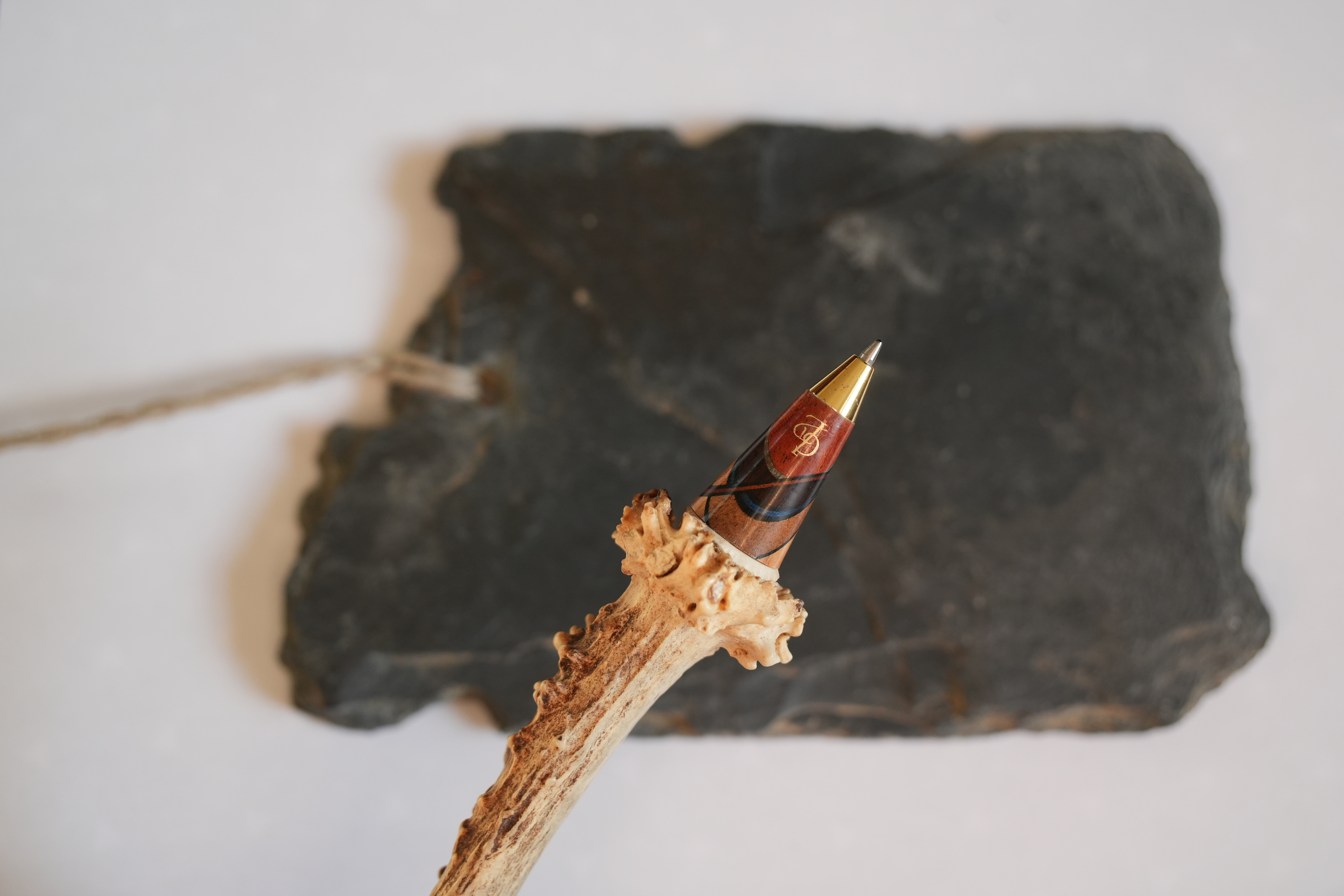 Bille bois chevreuil 