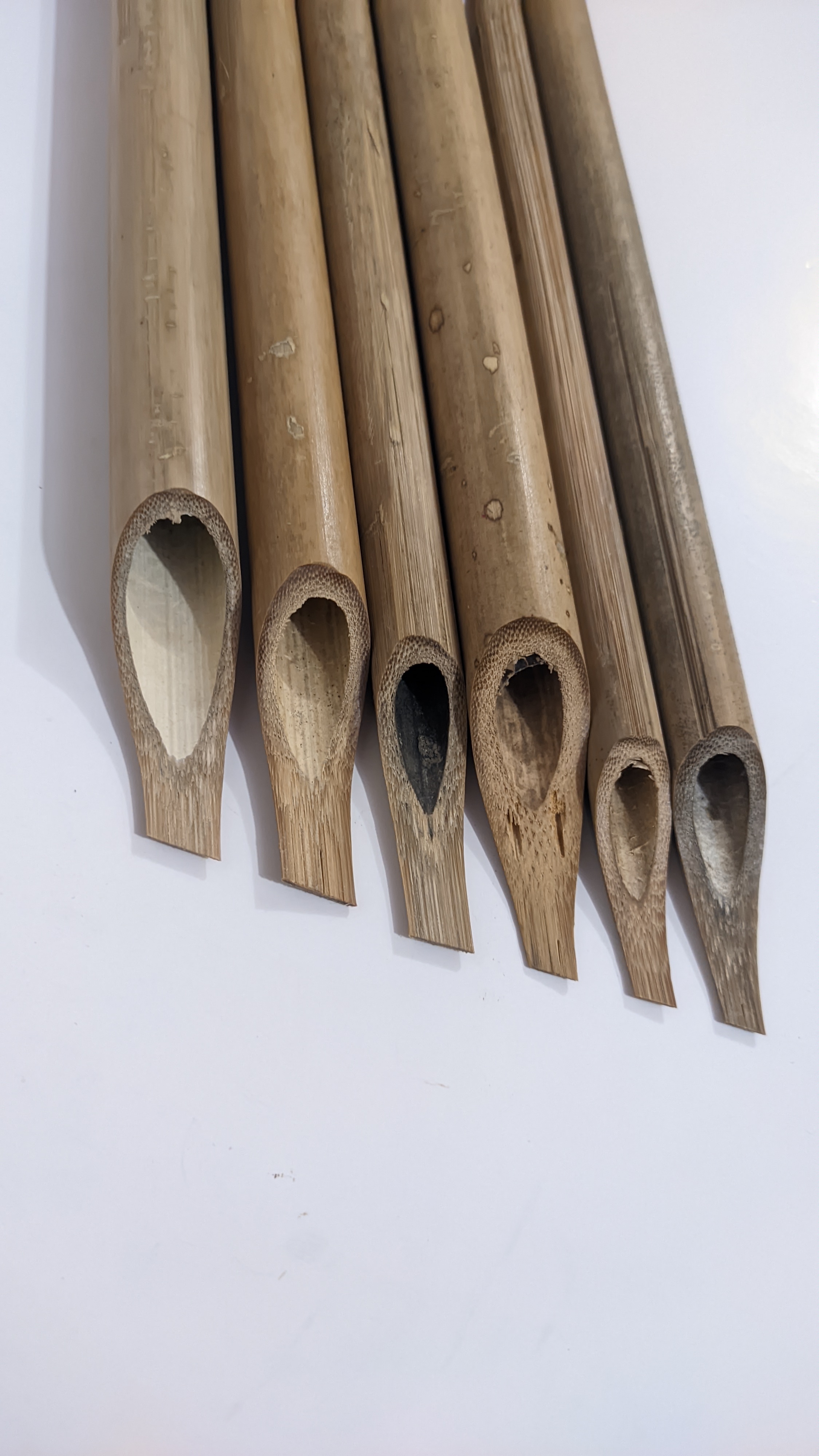 Qalamkaaar Calligraphy bamboo qalam (1MM TO 6 MM)