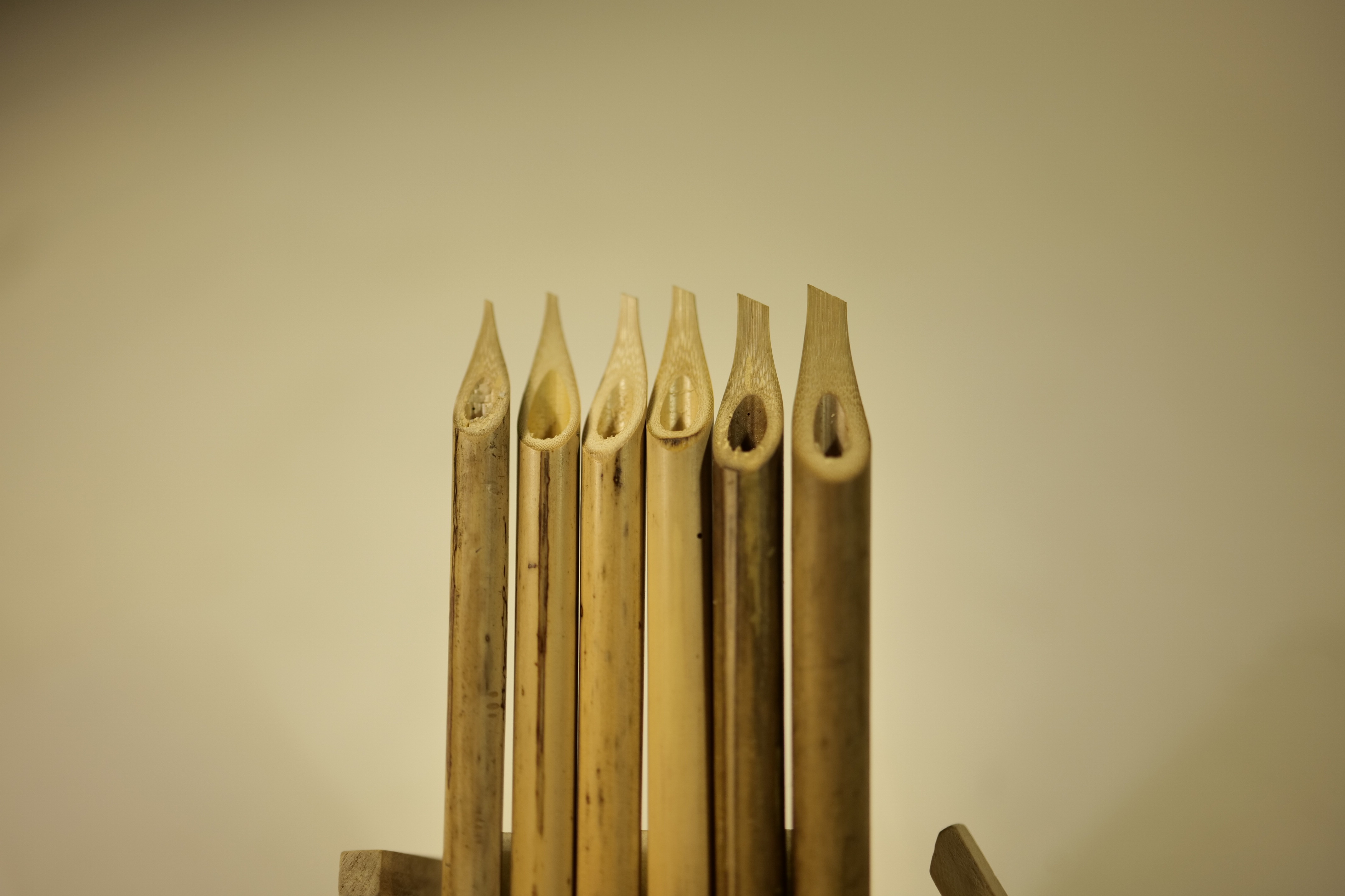 Qalamkaaar Calligraphy bamboo qalam (7MM TO 12 MM)