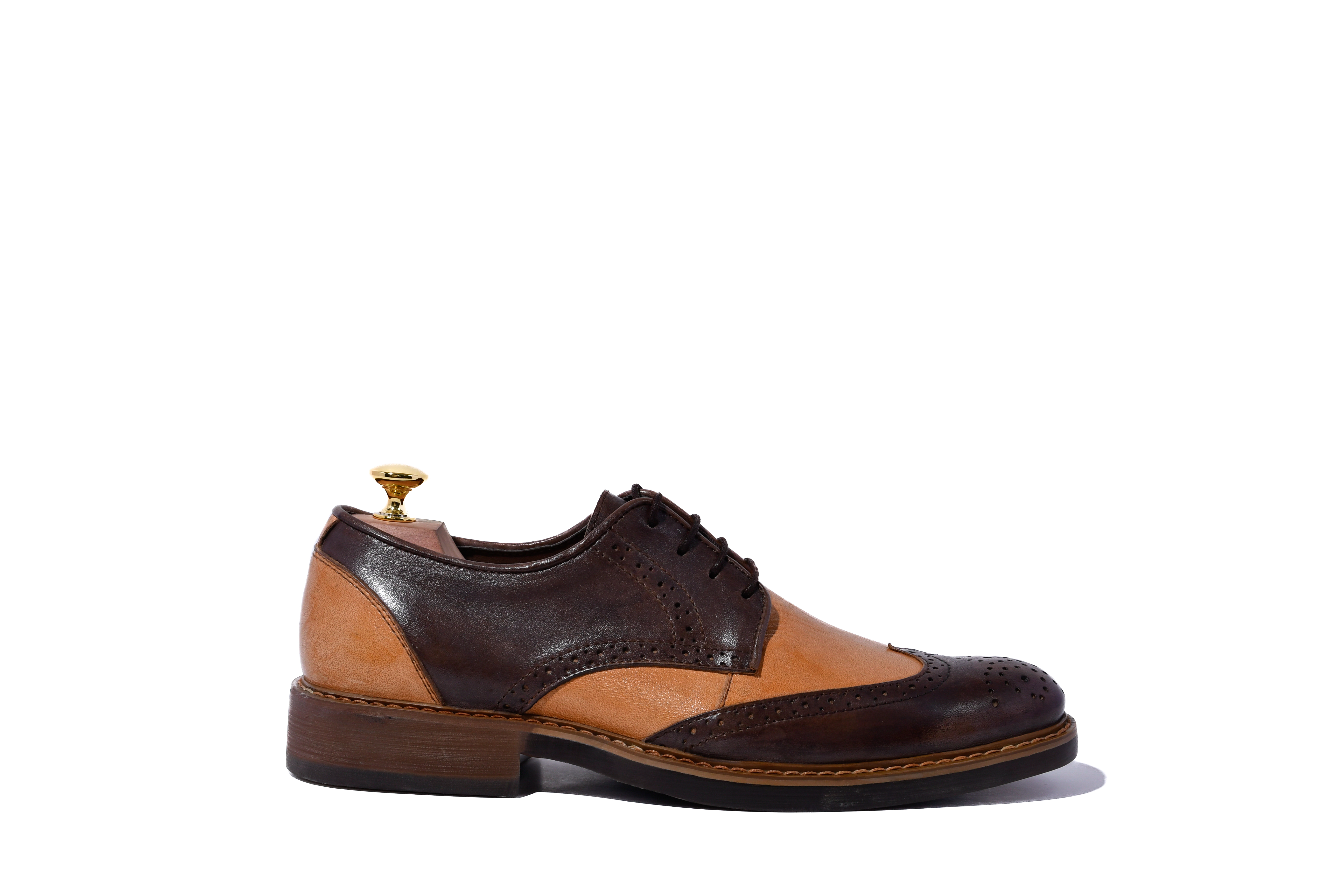 Zapato Oxford clásico de dos tonos