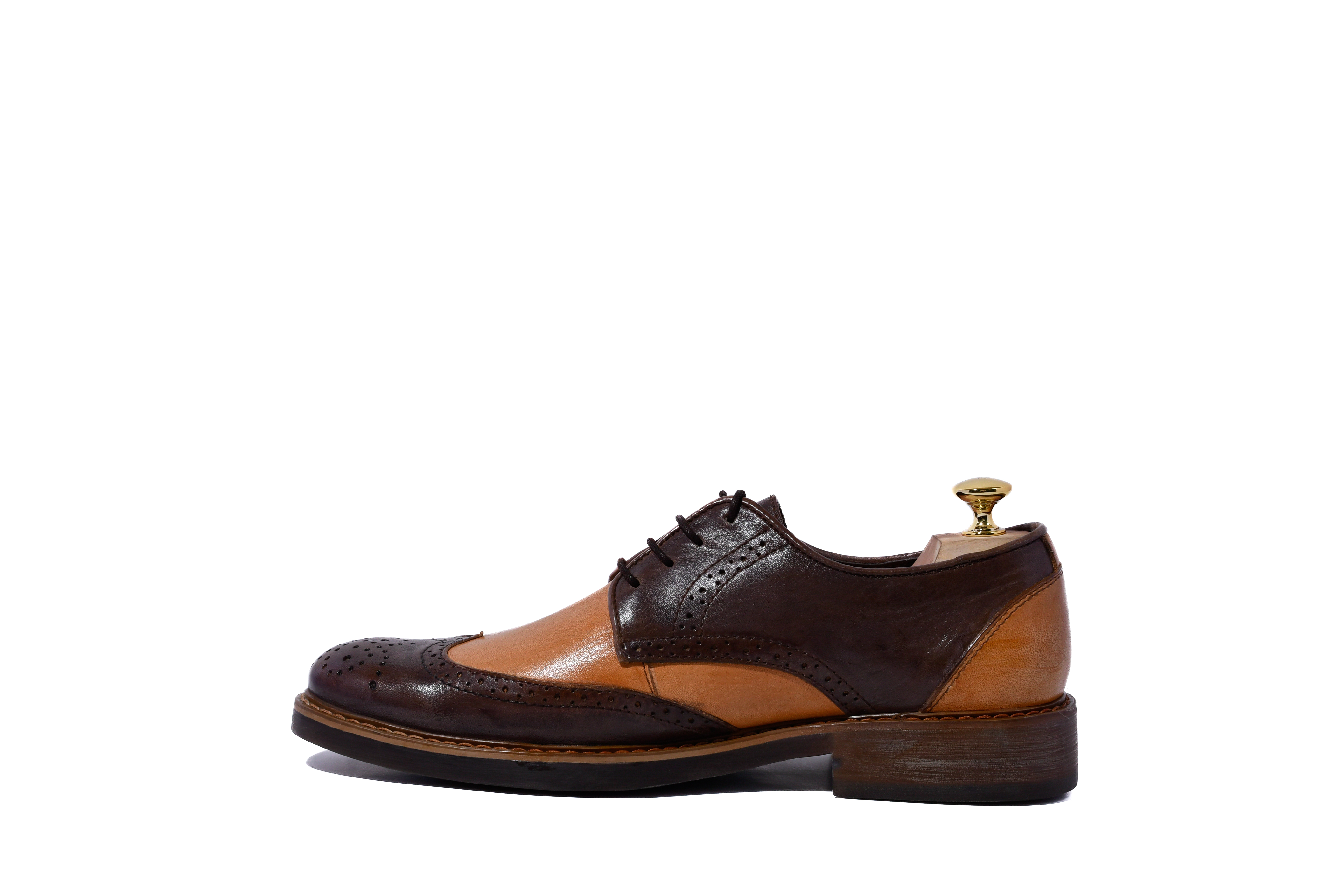 Zapato Oxford clásico de dos tonos