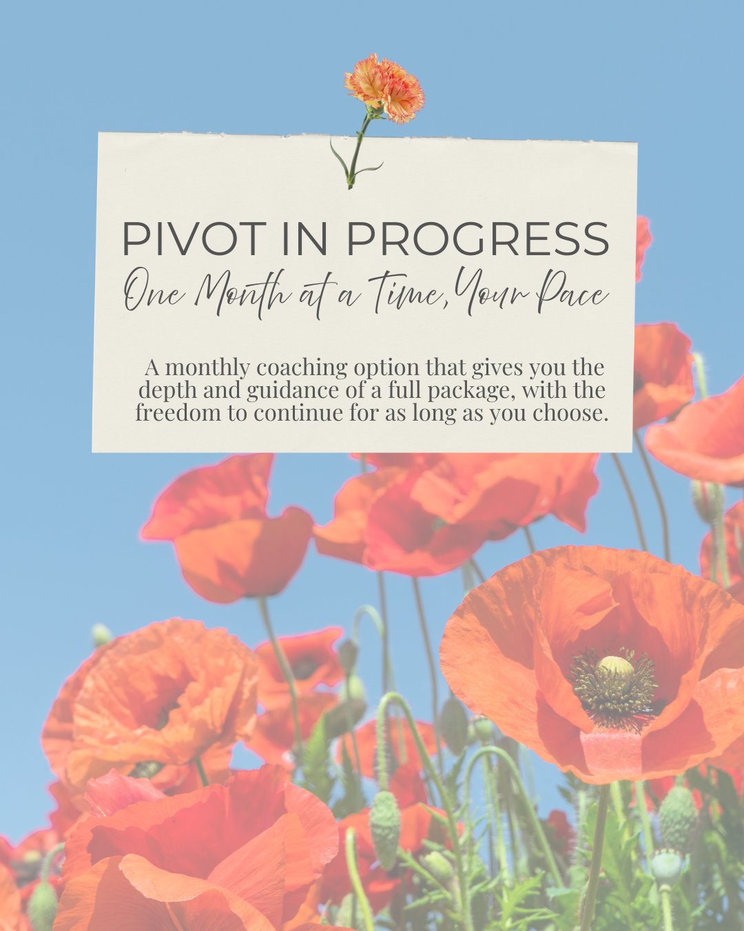 Pivot in Progress – Monthly Coaching