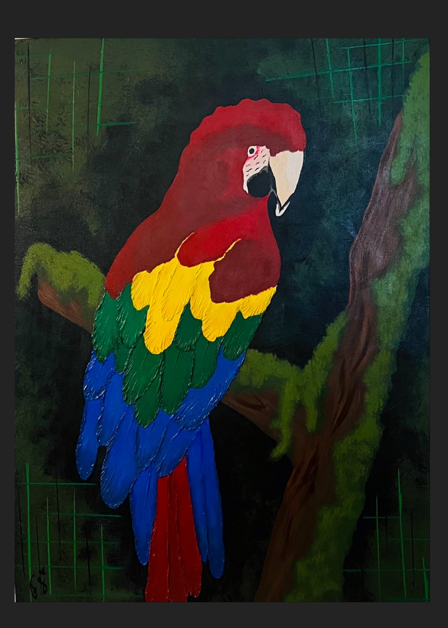 Macaw of the night 