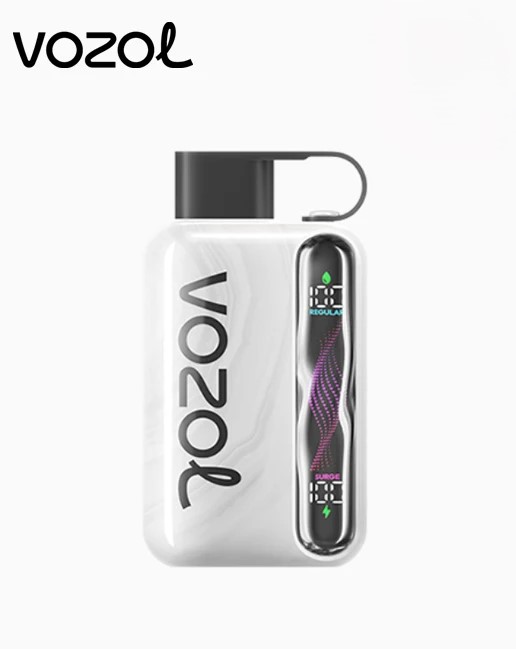 Vozol Star 40K Puffs avec Écran Ondulé——Stock en Chine