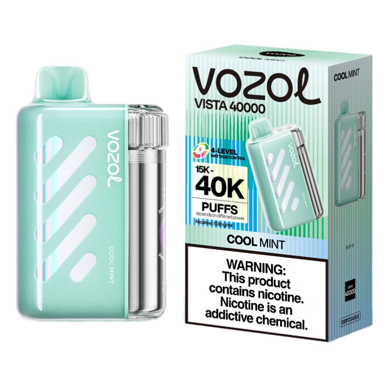 Vozol Vista 40 000 bouffées——Stock en CHINE