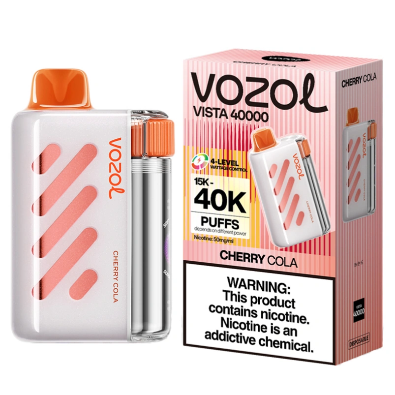 Vozol Vista 40 000 bouffées——Vente en Gros