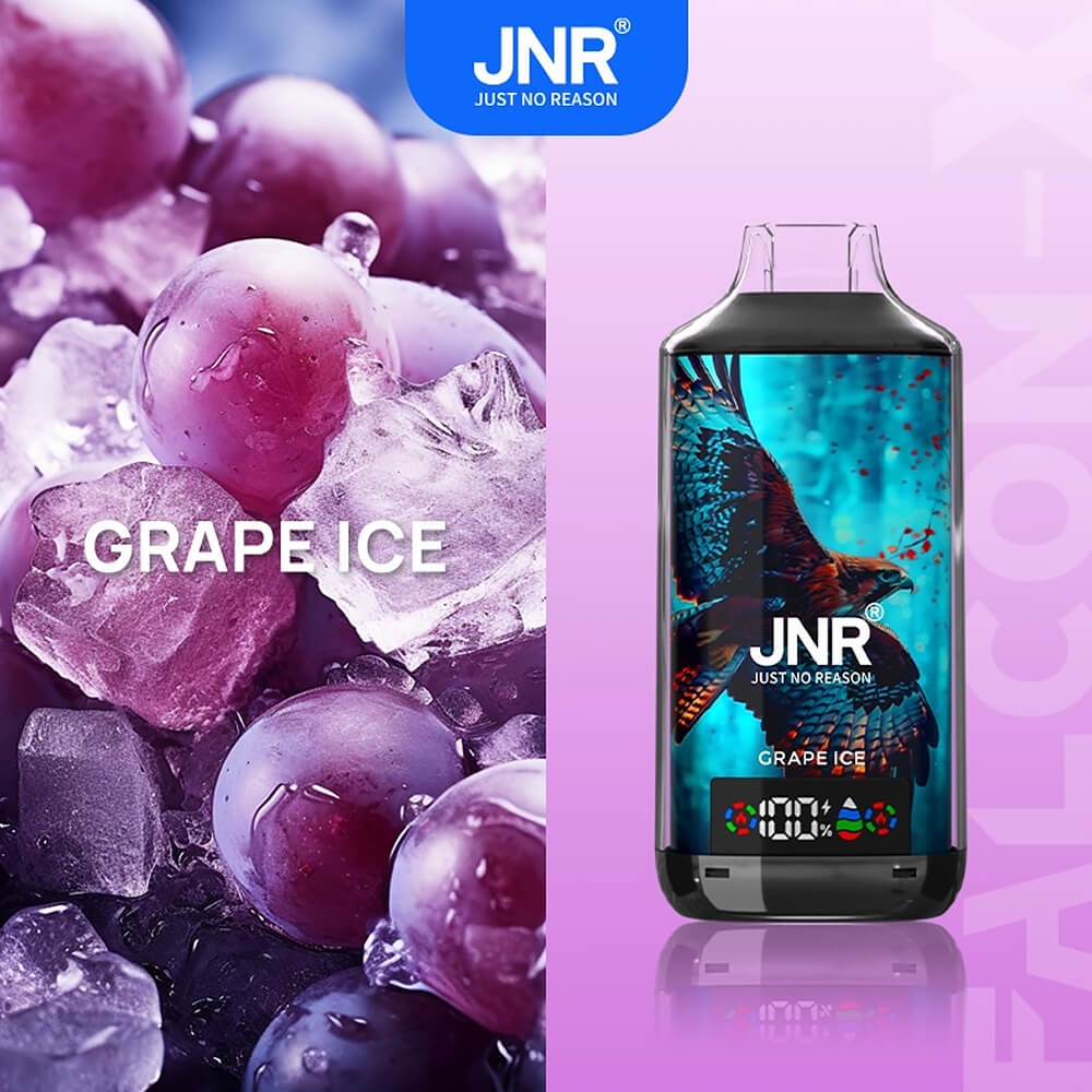 JNR Falcon-X 18000 bouffées—Stock en Chine