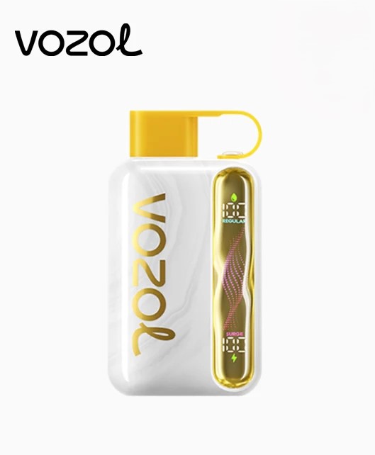 Vozol Star 40K Puffs avec Écran Ondulé——Stock en Chine