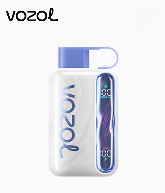 Vozol Star 40K Puffs avec Écran Ondulé——Stock EU