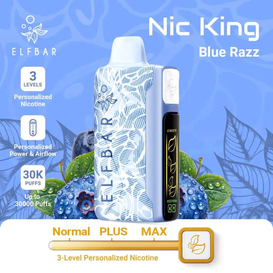 Elfbar NIC KING 30000 bouffées—Stock EU