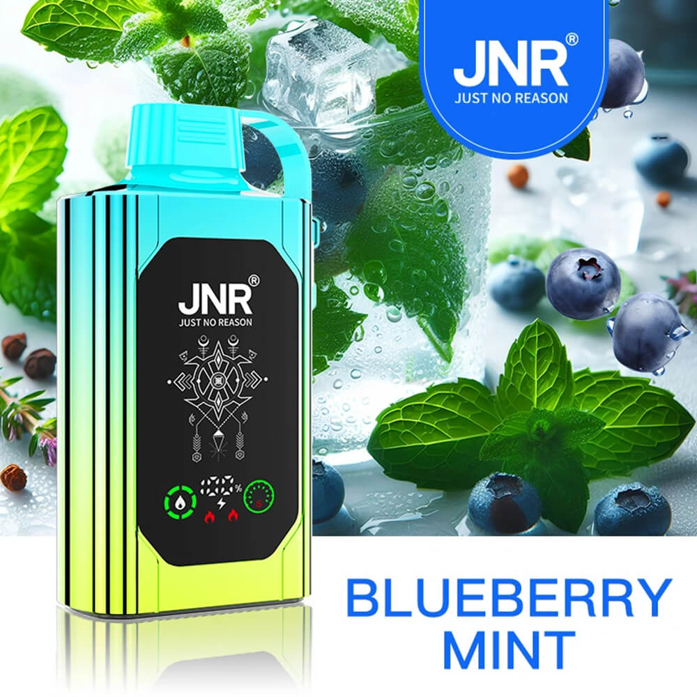 Boîte à chicha jetable JNR 20 500 bouffées – Vente en gros B2B