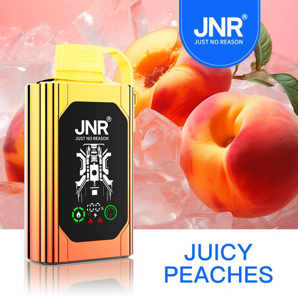 Boîte à chicha jetable JNR 20 500 bouffées – Vente en gros B2B