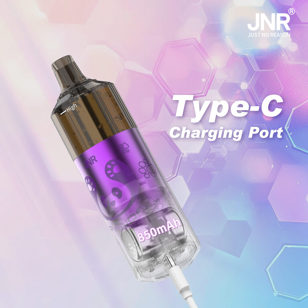 Vape jetable JNR Panda 25 500 bouffées – Vente en gros B2B