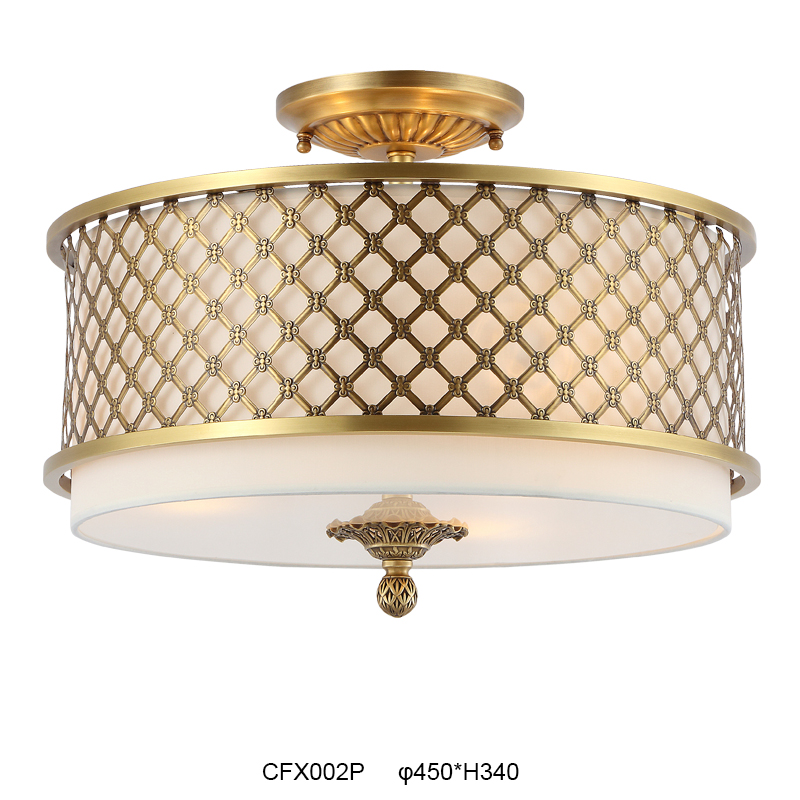 Elegant Ceiling Light Fixture