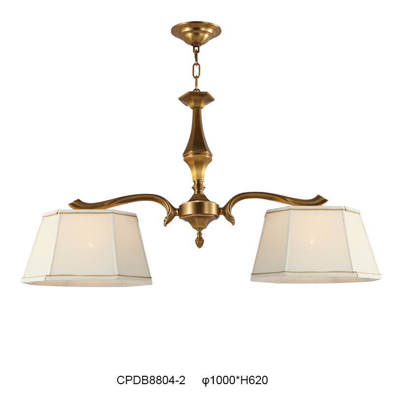 Elegant Double Pendant Light