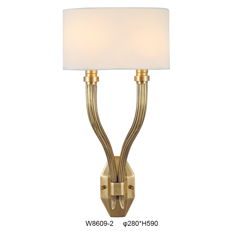 Elegant Brass Double Arm Wall Sconce