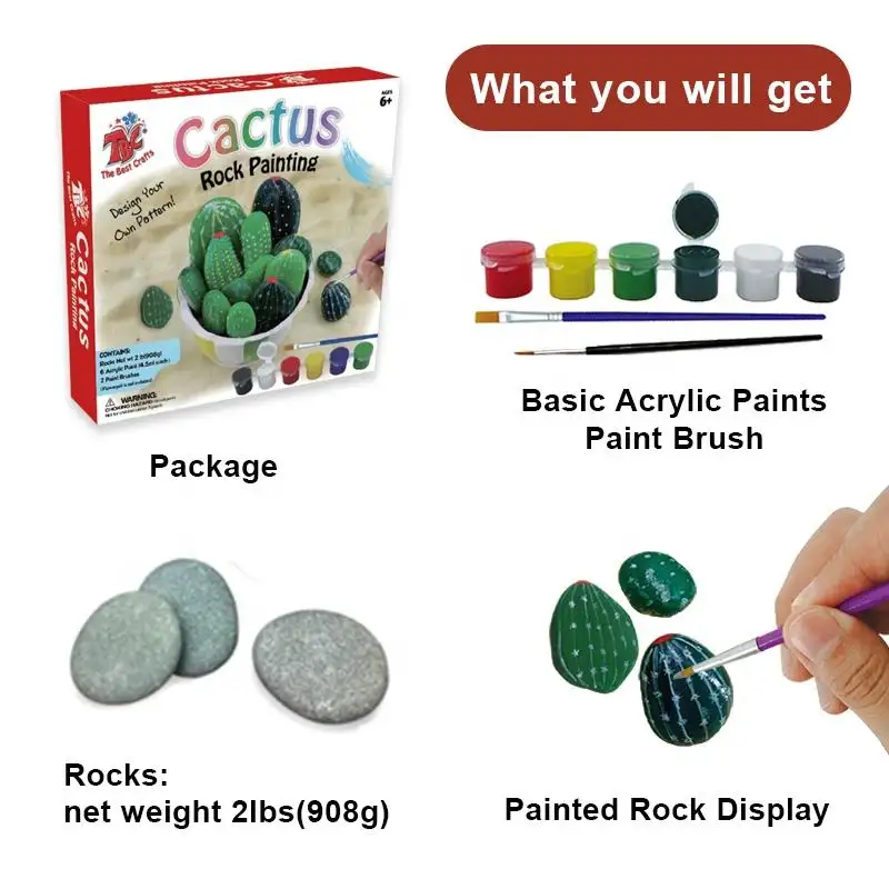 Cactus Rock Painting Kit