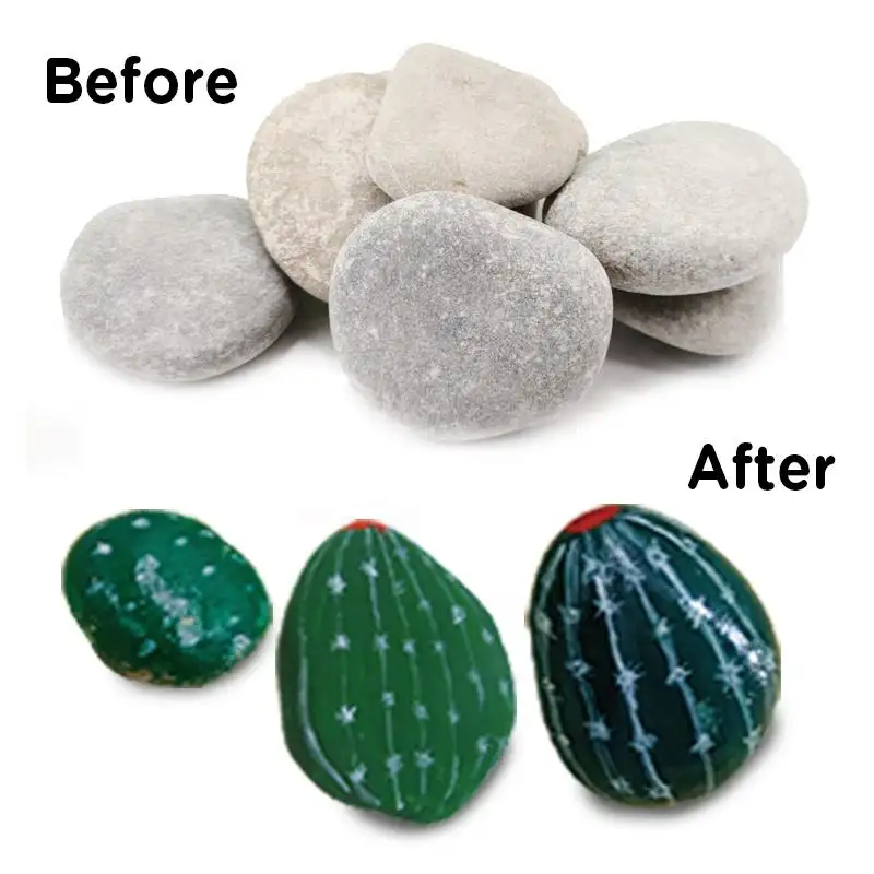 Cactus Rock Painting Kit