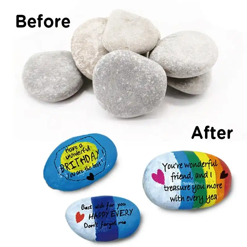 Cactus Rock Painting Kit