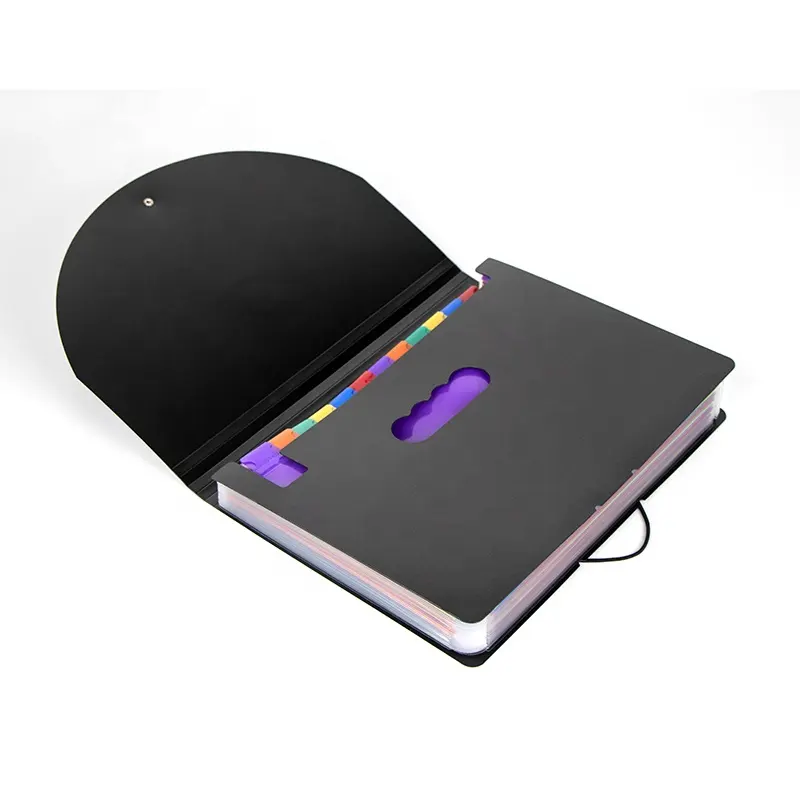 Expandable File Organizer