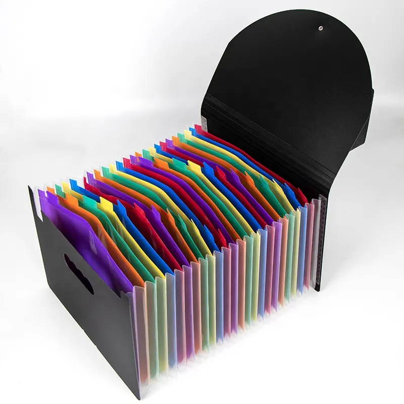 Expandable File Organizer