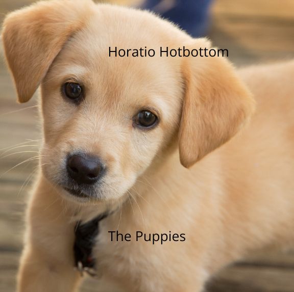 Horatio Hotbottom and the Puppies