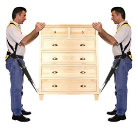 Pro Moving Strap System