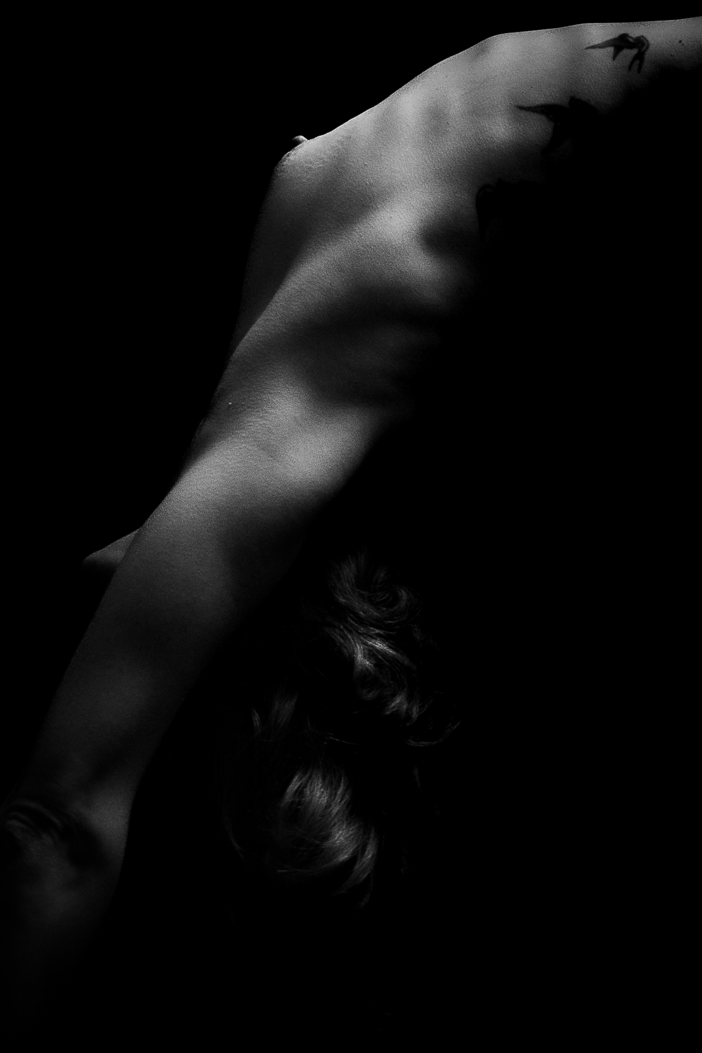 Sombre lumière: Voûte ombreuse