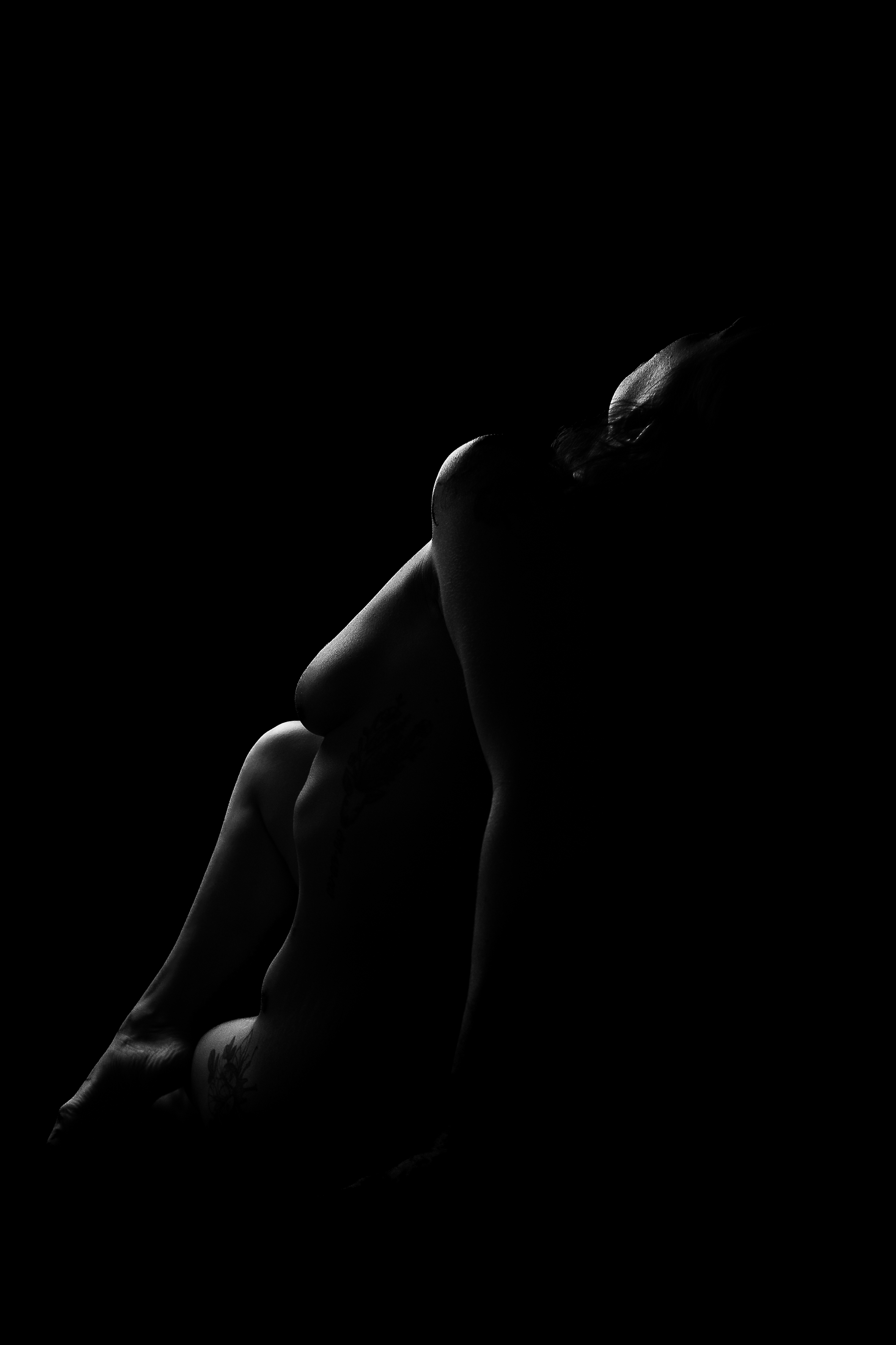 Sombre lumière: Clair astrale