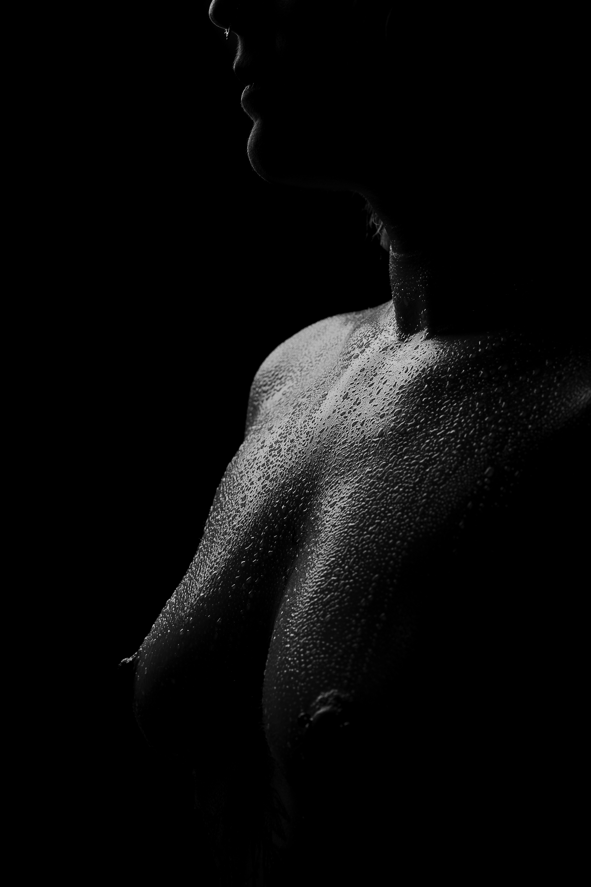 Sombre lumière: Éclat dans l'ombre