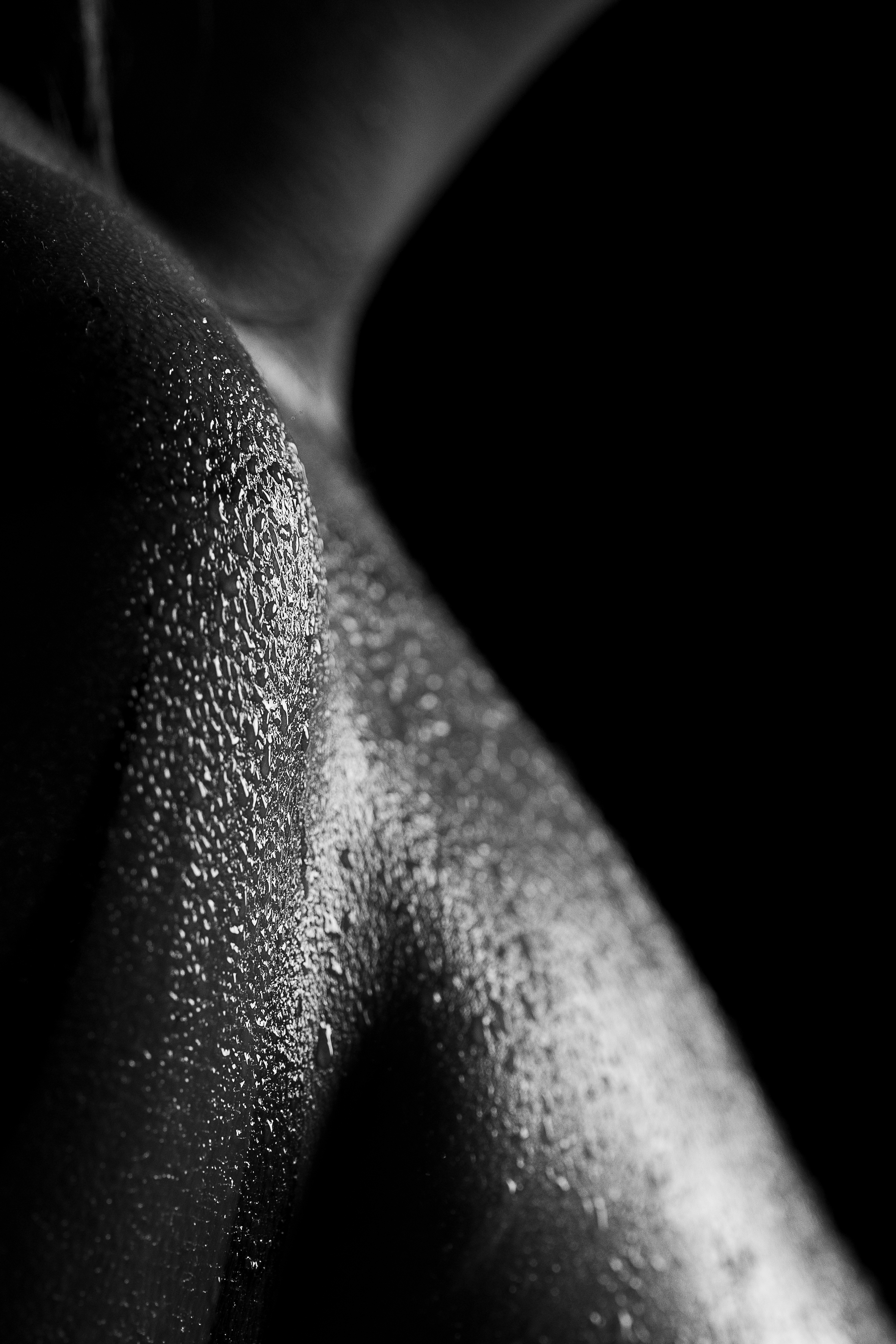 Sombre lumière: Perles de lune